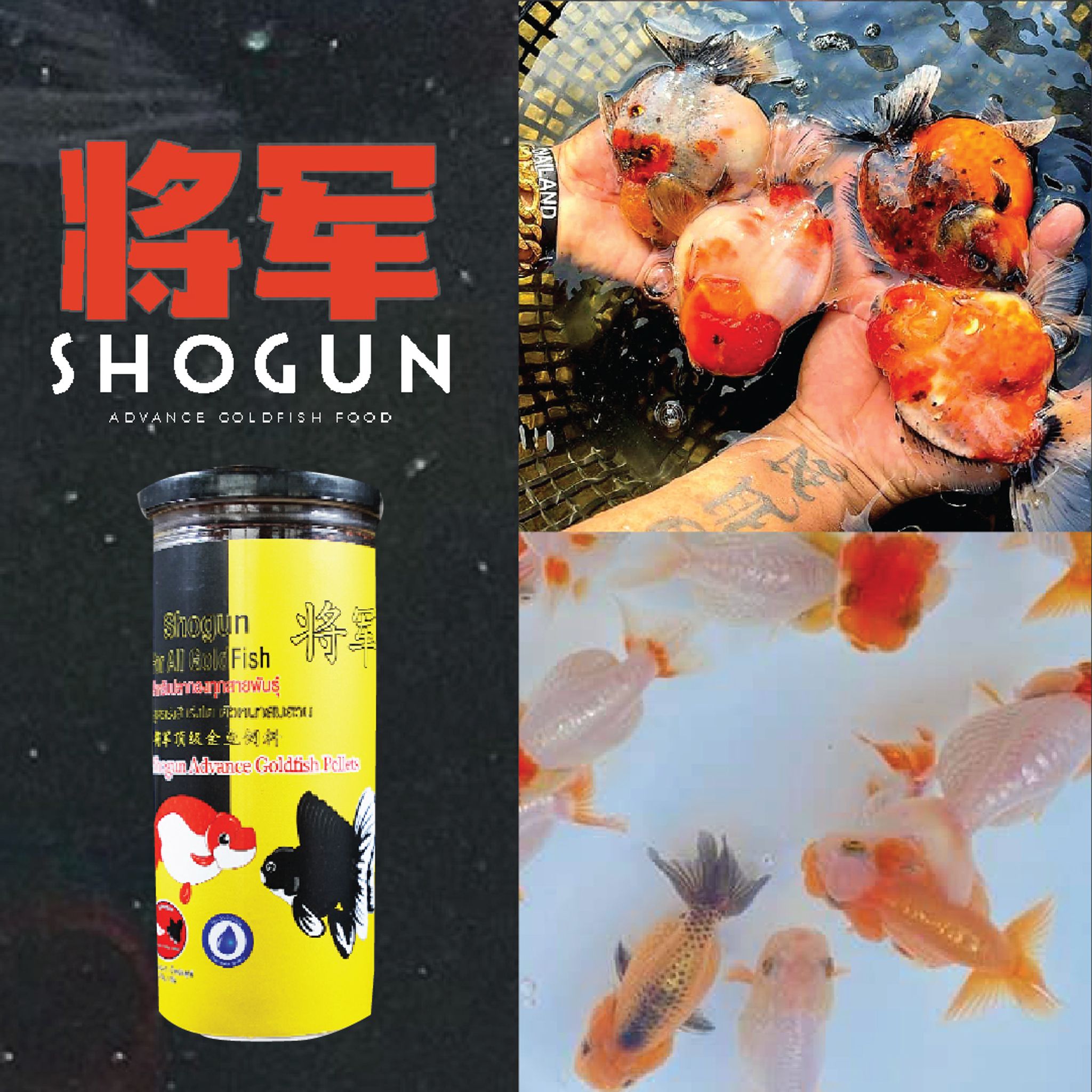 SHOGUN Advance Goldfish Pellets Sinking Yellow Bottle Rush-To-Growth Formula 270g SSS Pellet Size