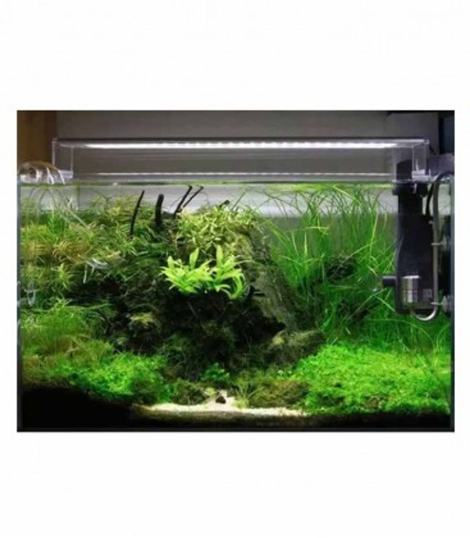 CHIHIROS A-SERIES PLANTED TANK LED LIGHTING (A1201)