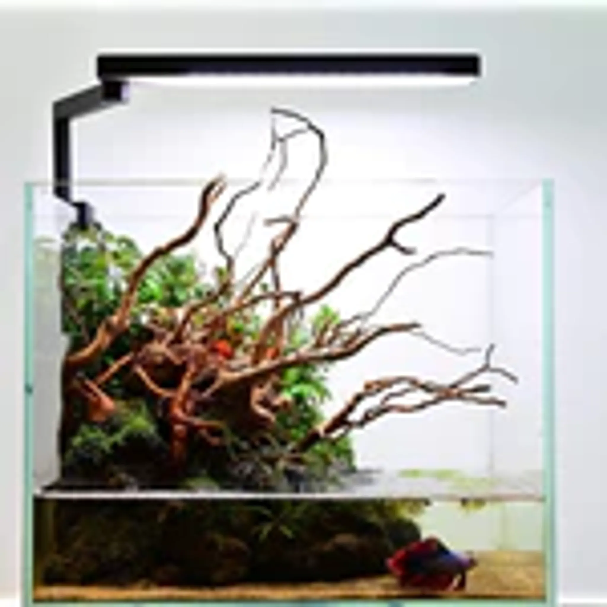 Chihiros CII Series Desktop Led Light