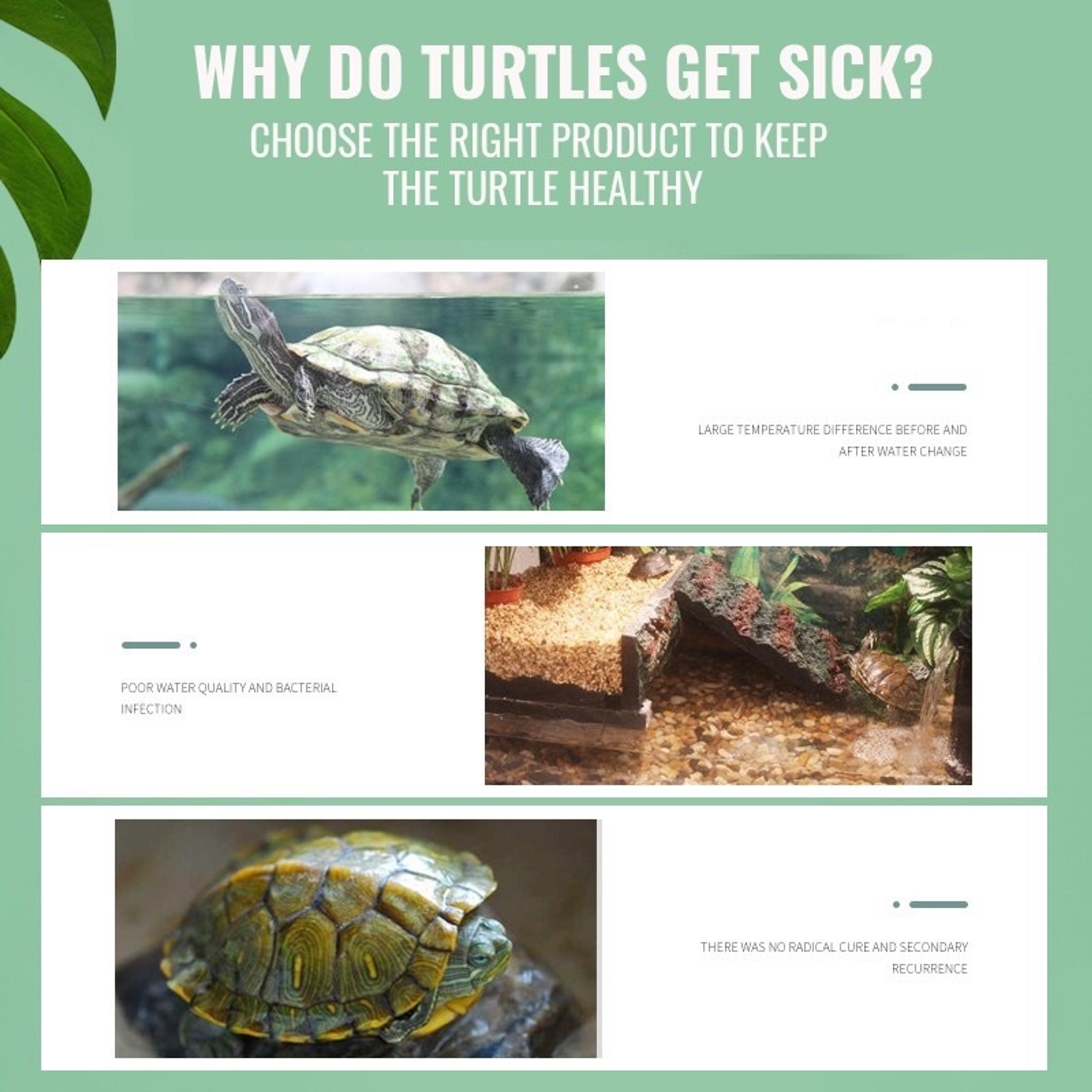[YEE] Turtle terrapin medication maintenance kit