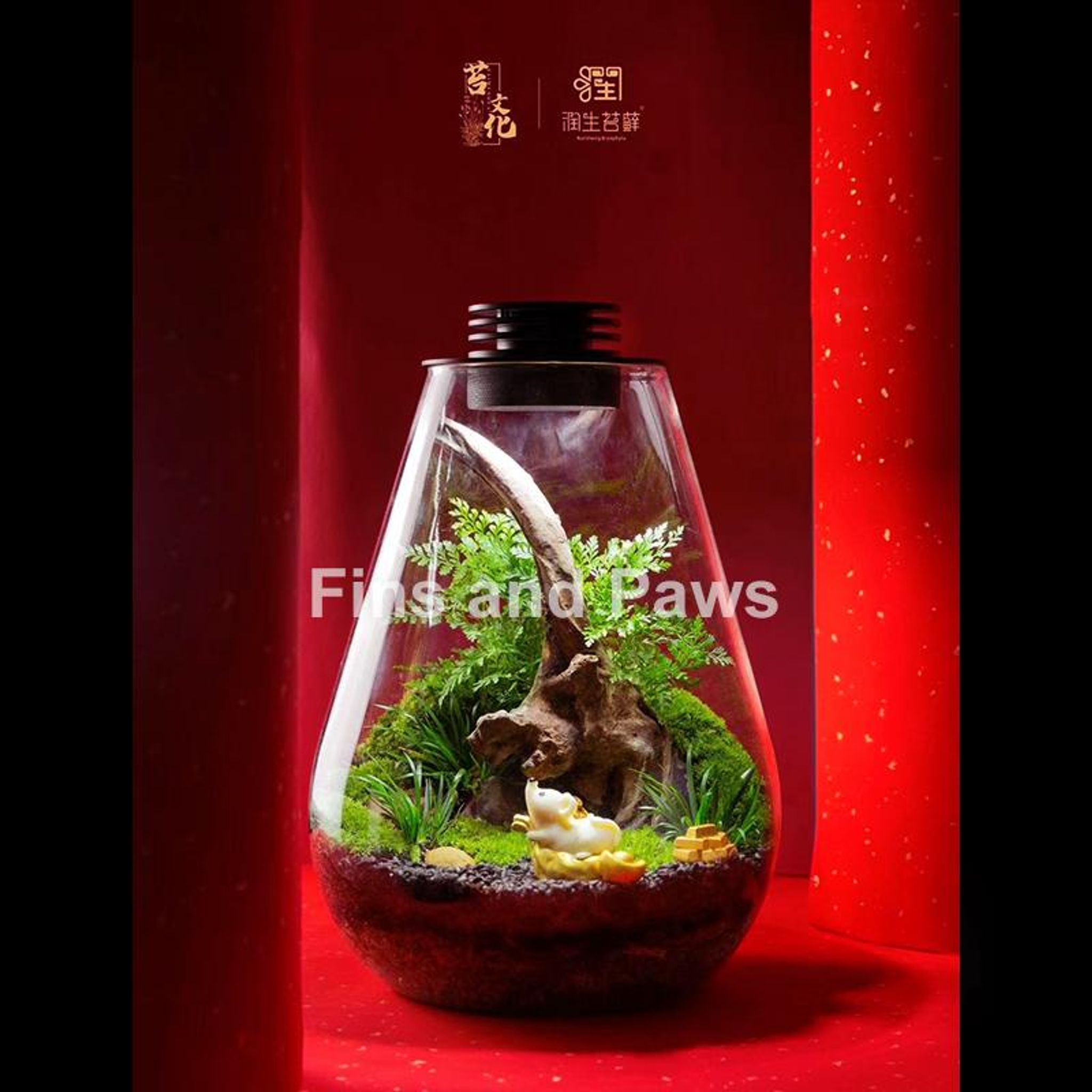 [Terra] Terrarium complete with LED Light