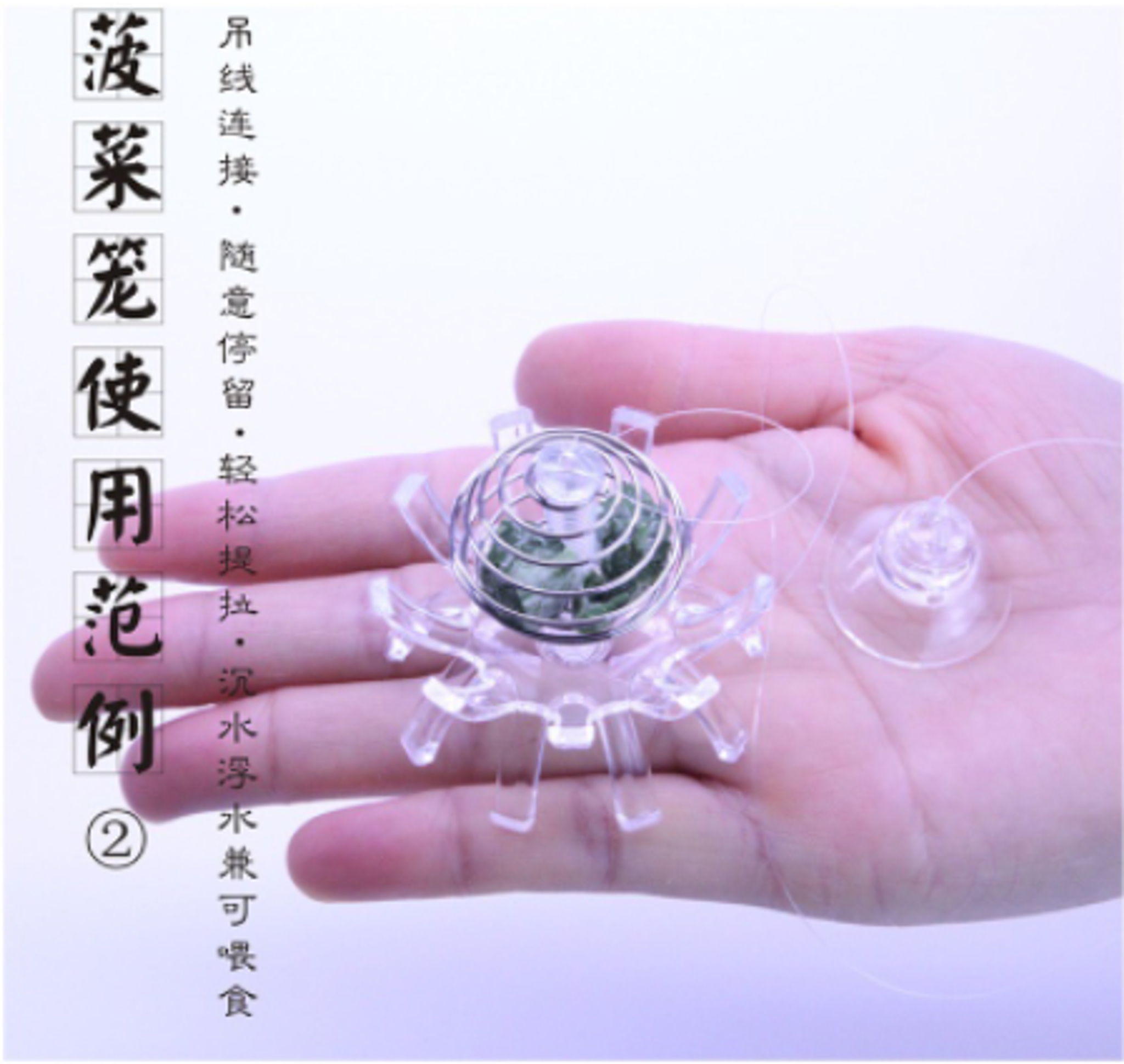 Aquarium Shrimp bowl multifunctional feeder