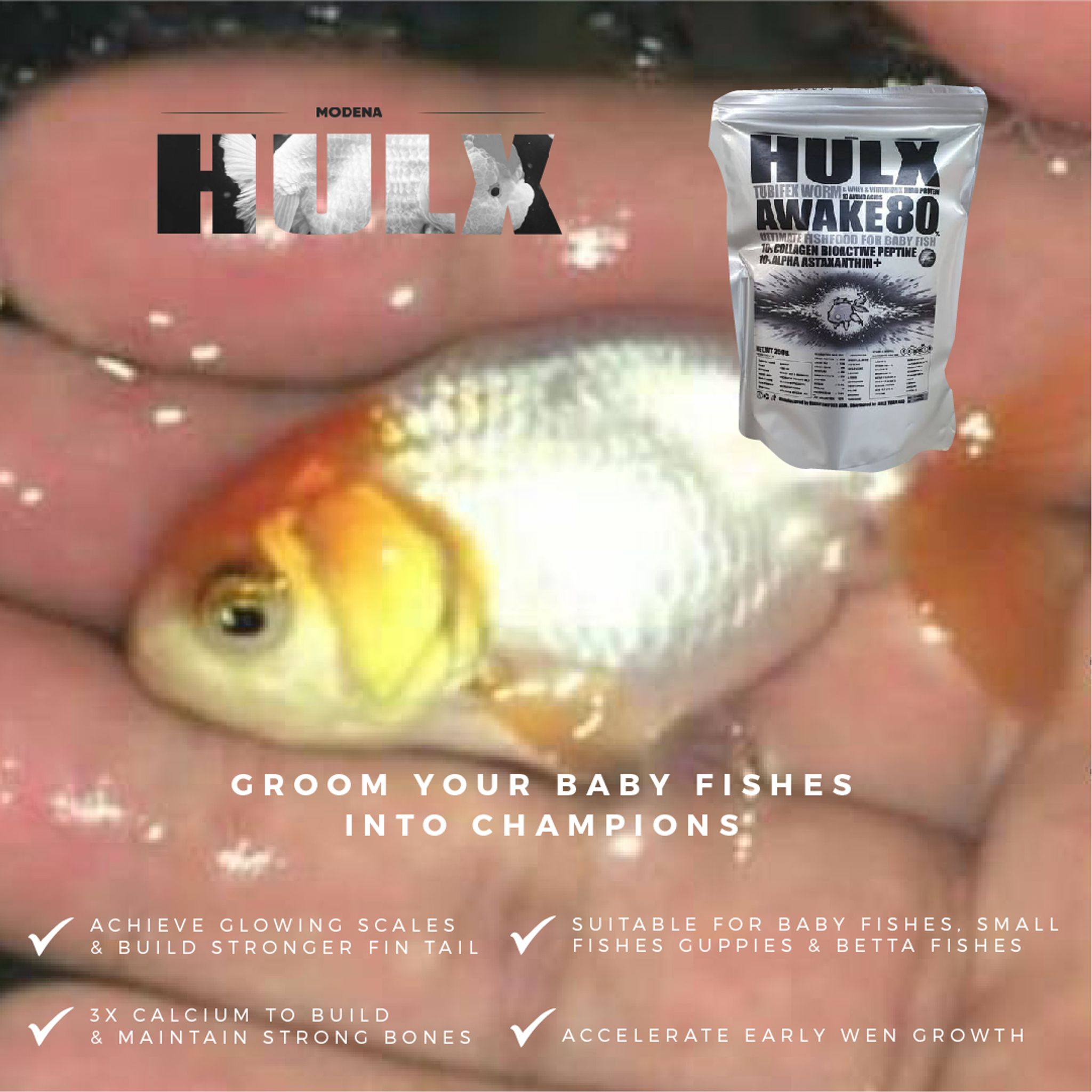 HULX SILVER Goldfish Food Tubifex Worm & Whey & Vitamin Mix High Protein 10 Amino Acid Awake 80 Ultimate Fish Food