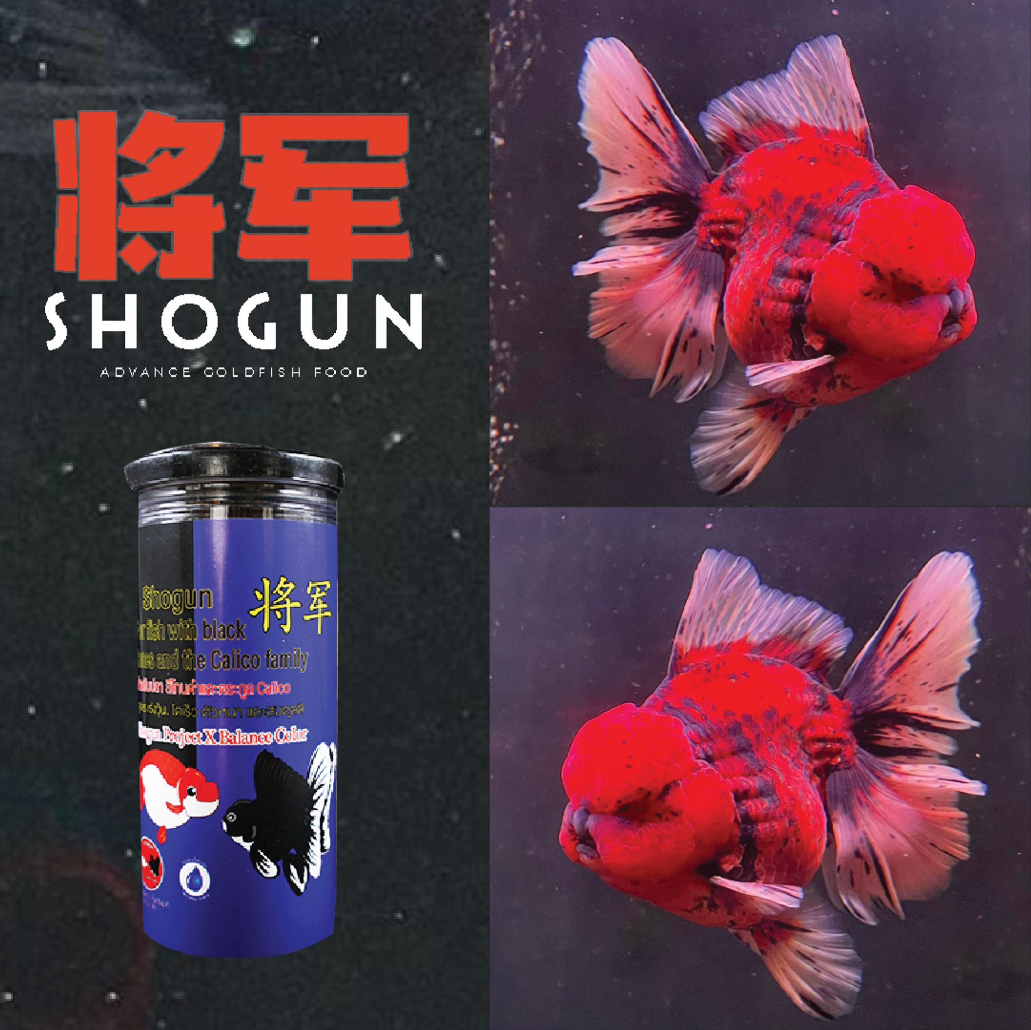 SHOGUN Advanced Gold Fish Pallet Sinking Blue Bottle Balance Color Formula 270 grams SS Pellet Size