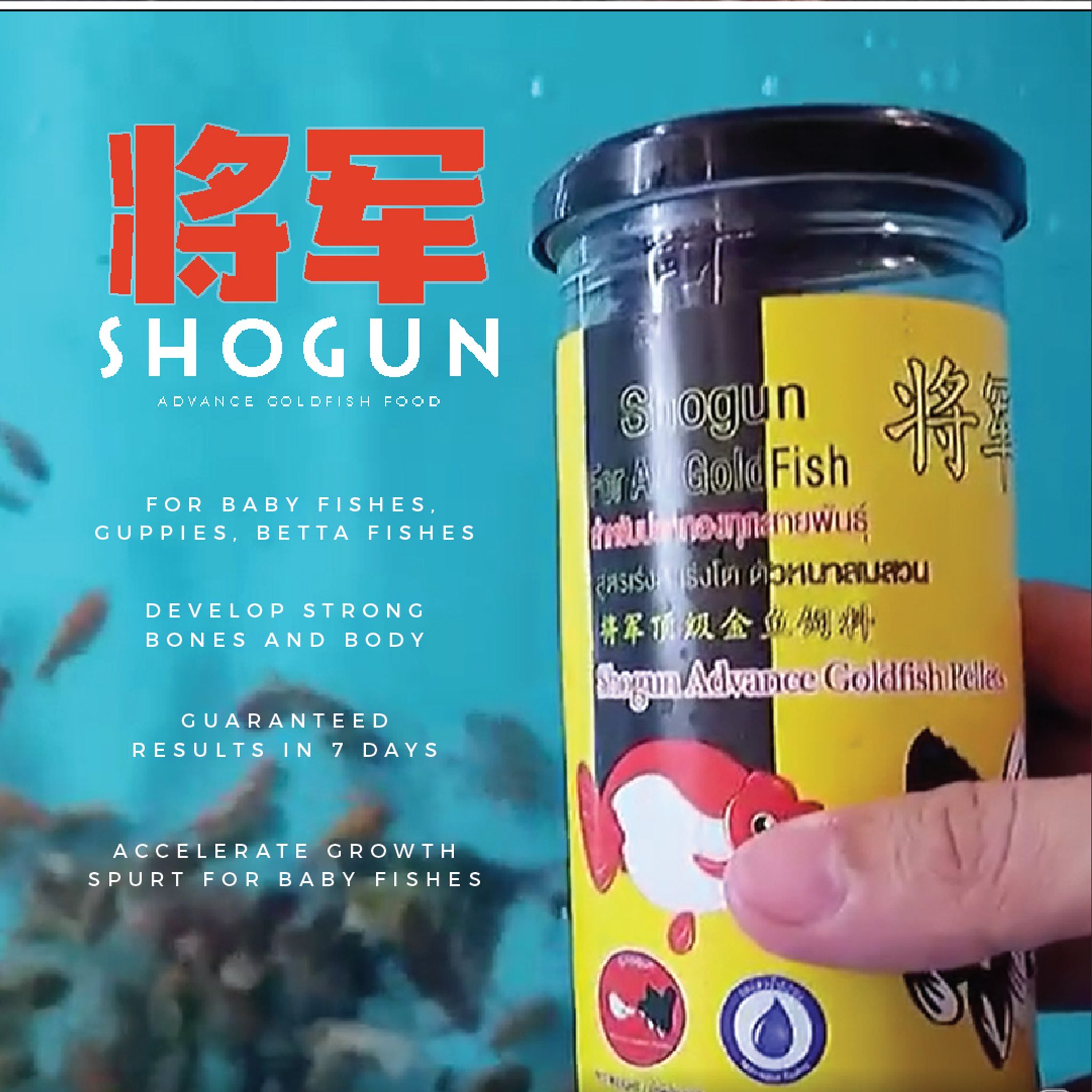 SHOGUN Advance Goldfish Pellets Sinking Yellow Bottle Rush-To-Growth Formula 270g SSS Pellet Size