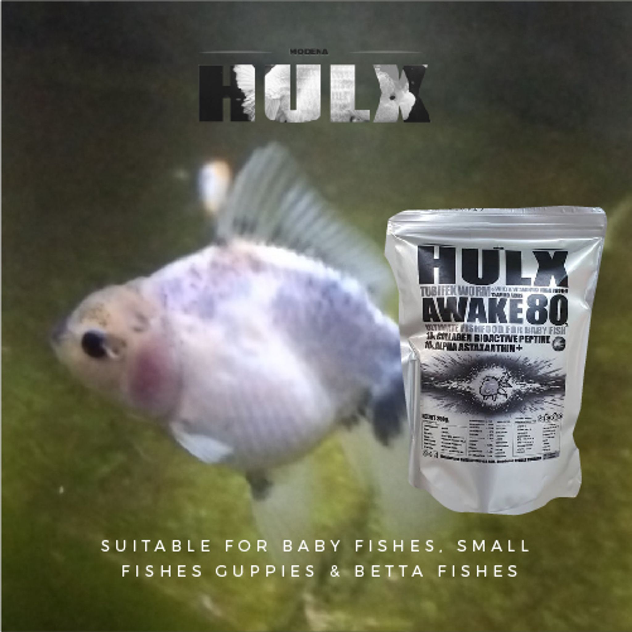 HULX SILVER Goldfish Food Tubifex Worm & Whey & Vitamin Mix High Protein 10 Amino Acid Awake 80 Ultimate Fish Food