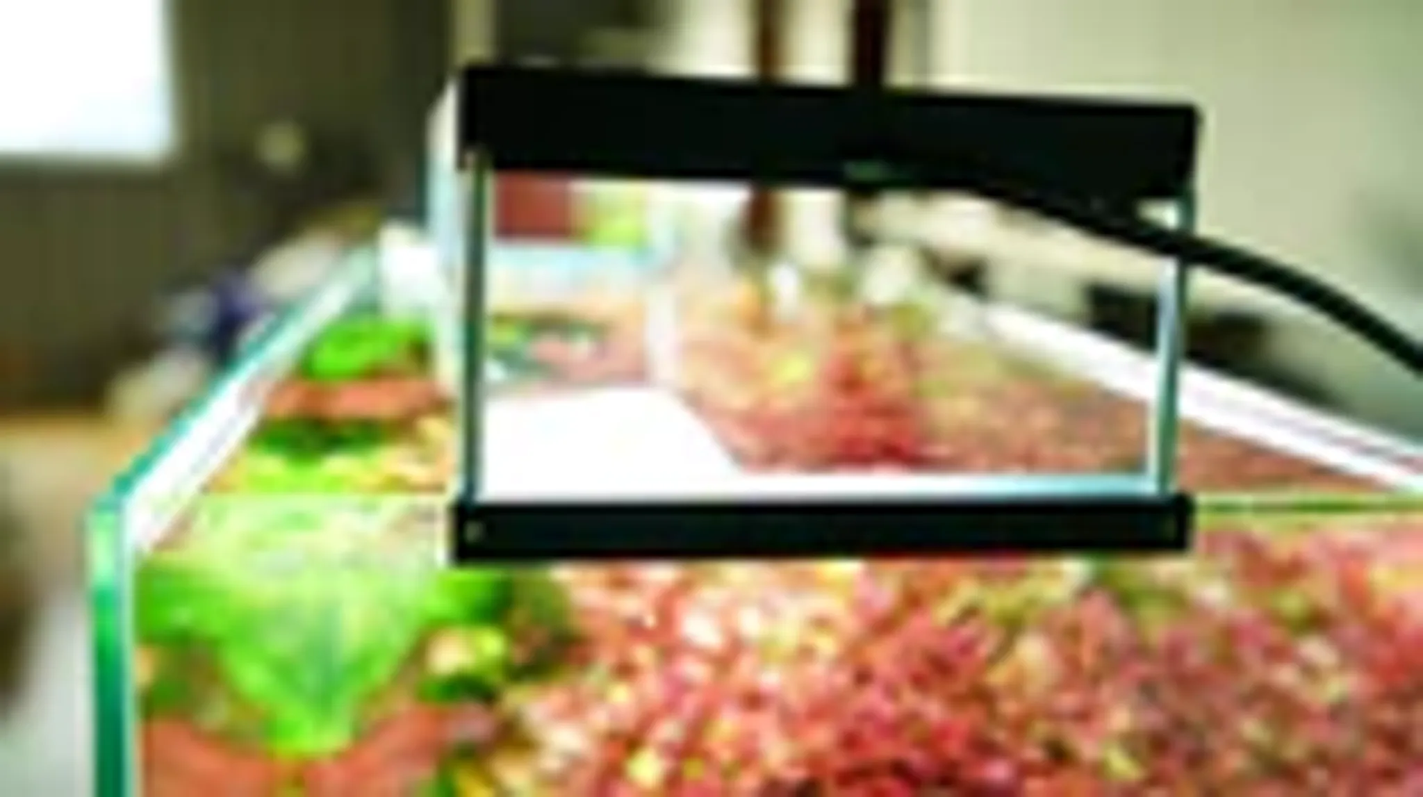 Chihiros WRGBII Series LED Light