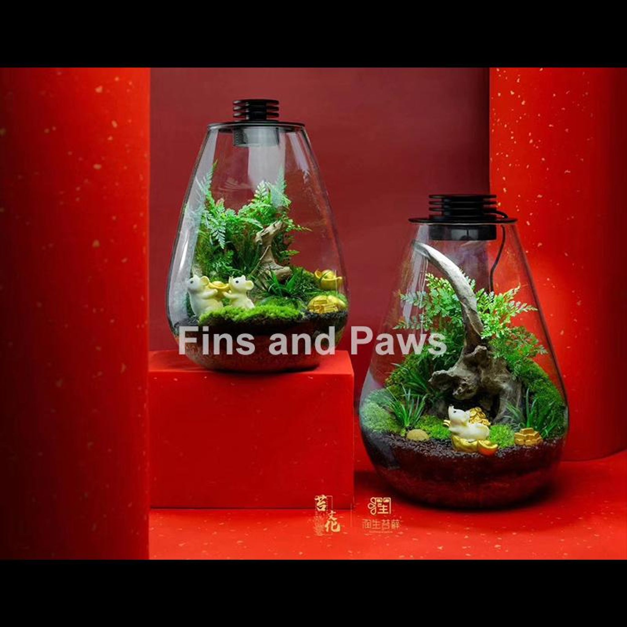 [Terra] Terrarium complete with LED Light