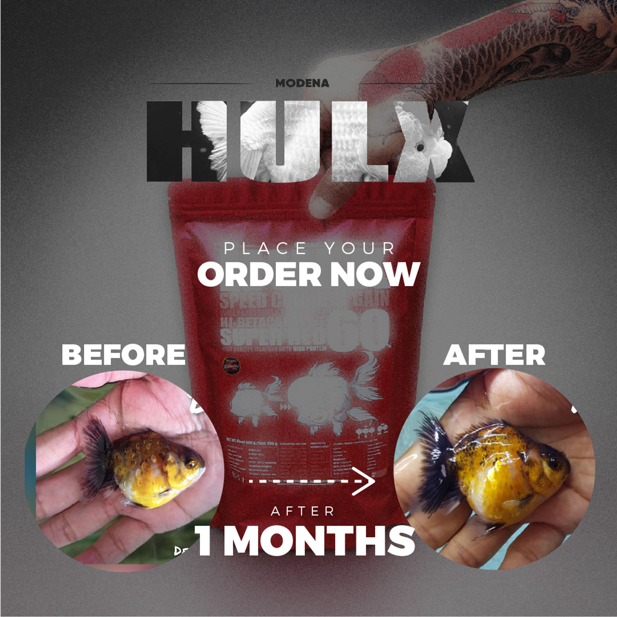 HULX RED Goldfish Food For Huge & Colorful Gain, Mussel & Whey & Vitamin Mix Super Red 60 + Astaxanthin 6%