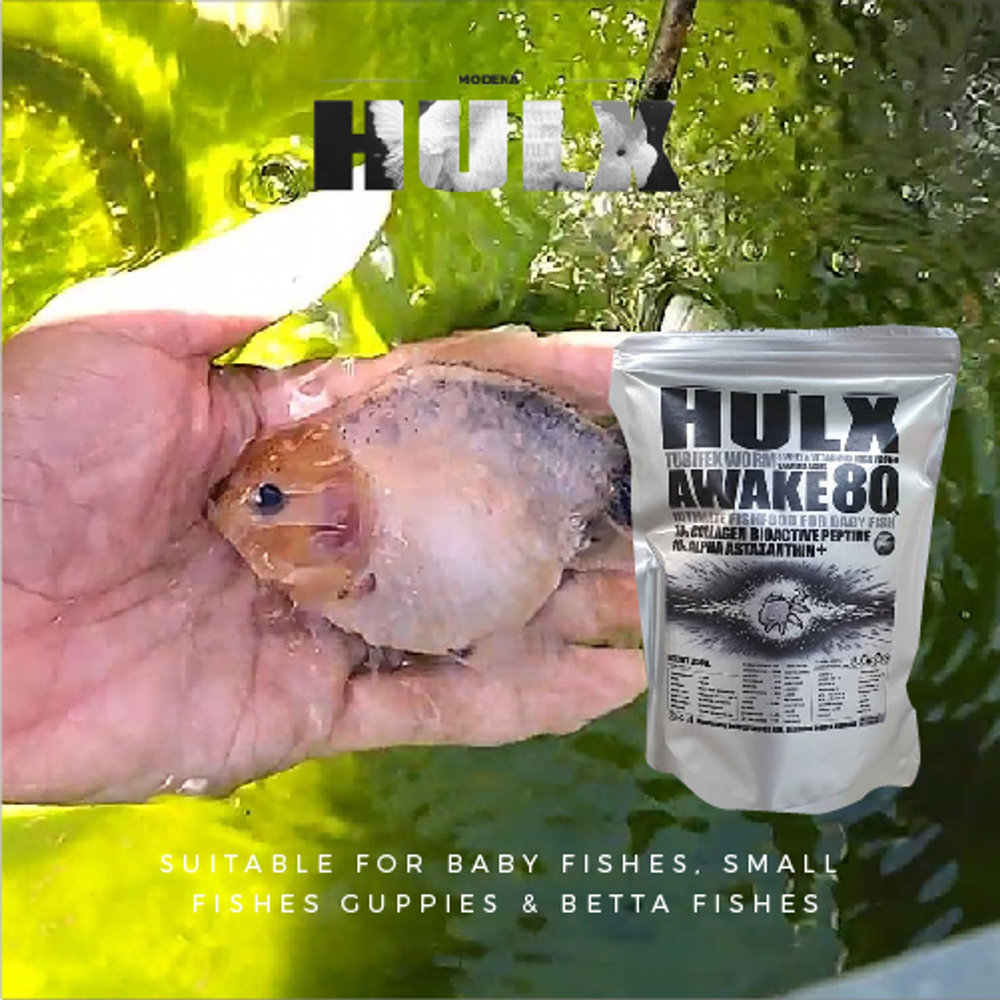 HULX SILVER Goldfish Food Tubifex Worm & Whey & Vitamin Mix High Protein 10 Amino Acid Awake 80 Ultimate Fish Food