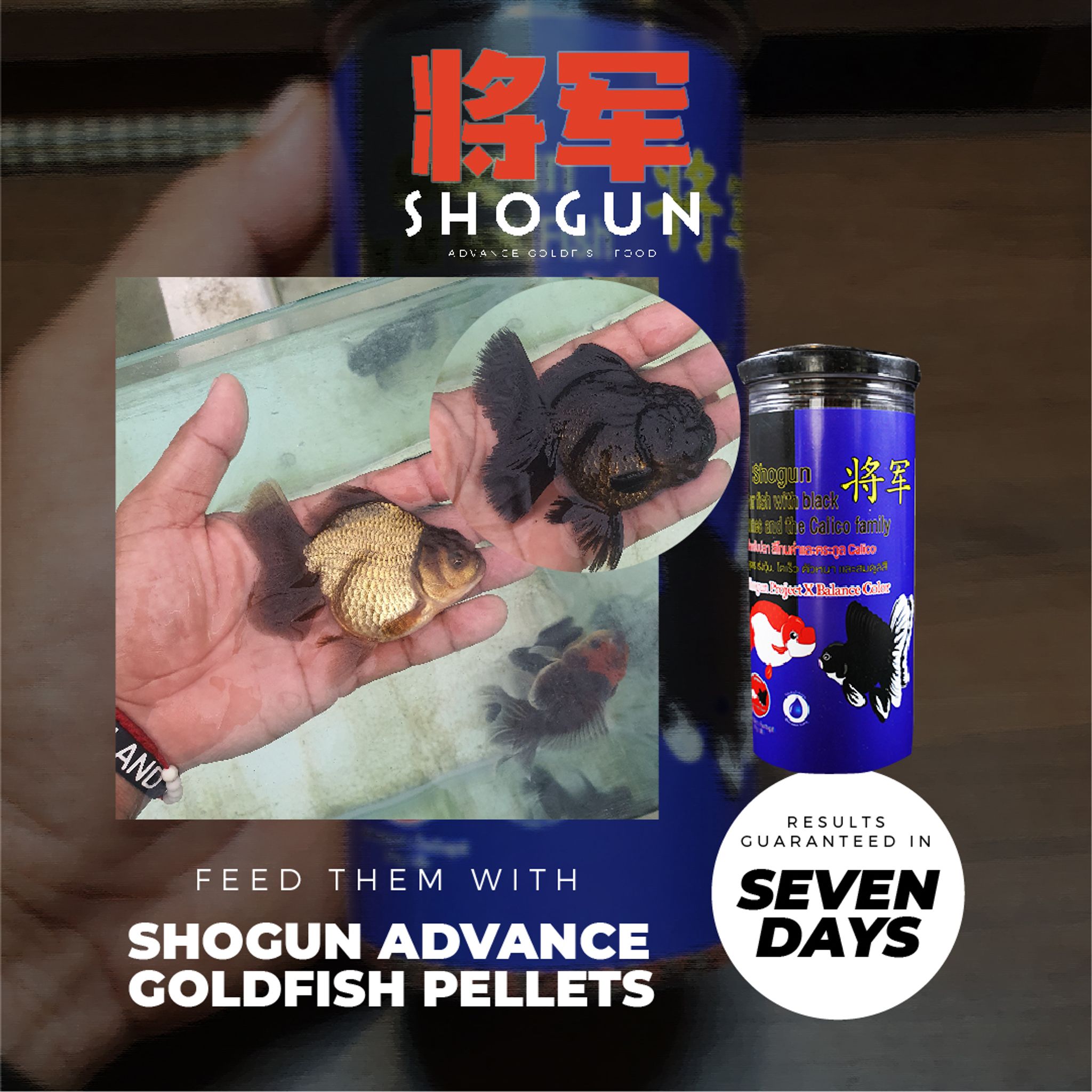 SHOGUN Advanced Gold Fish Pallet Sinking Blue Bottle Balance Color Formula 270 grams SS Pellet Size