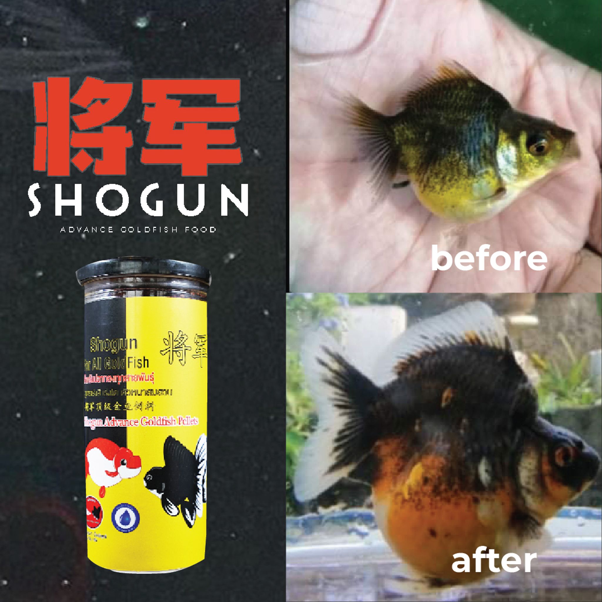 SHOGUN Advance Goldfish Pellets Sinking Yellow Bottle Rush-To-Growth Formula 270g SSS Pellet Size
