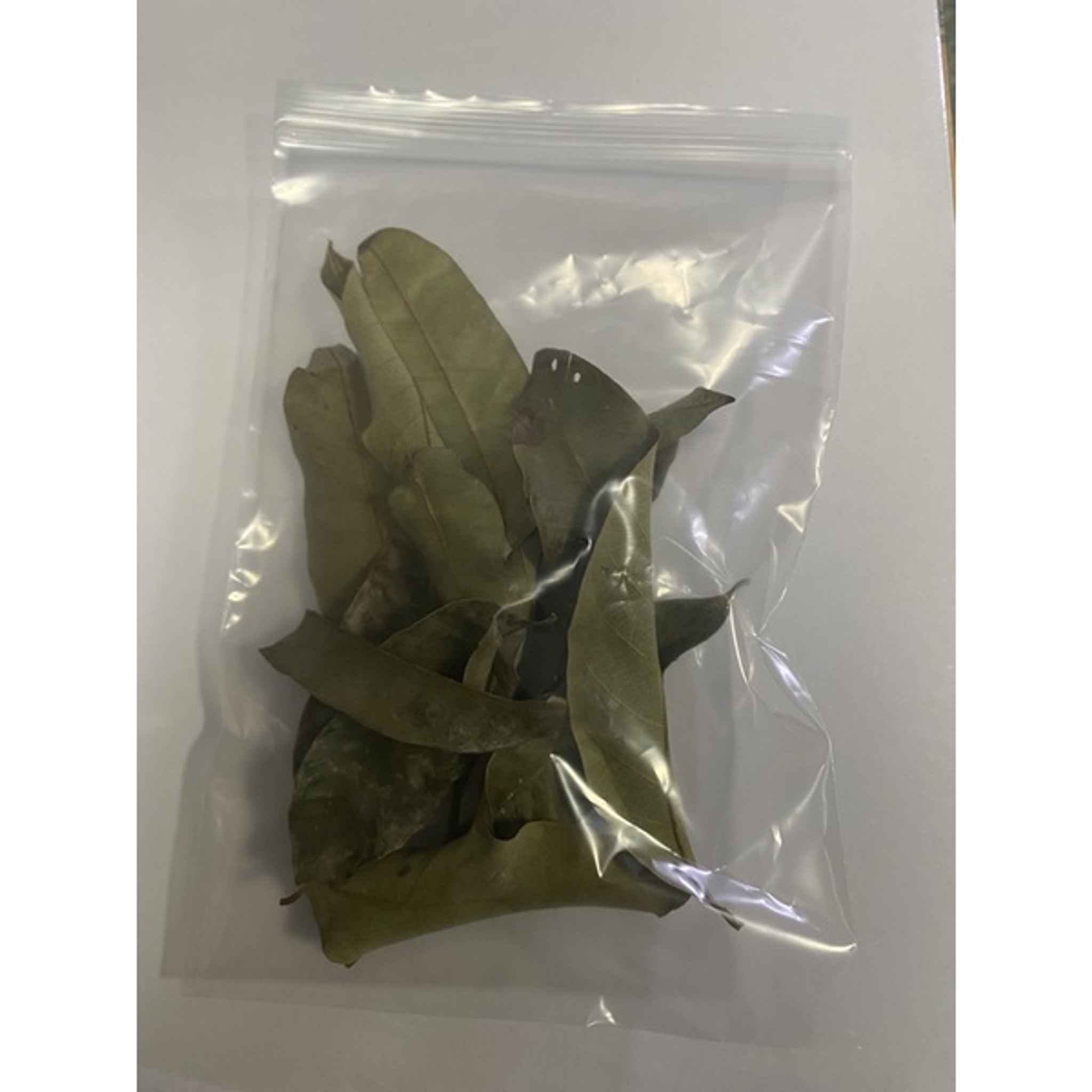 Natural longan leaf for terrapin turtle tank local seller