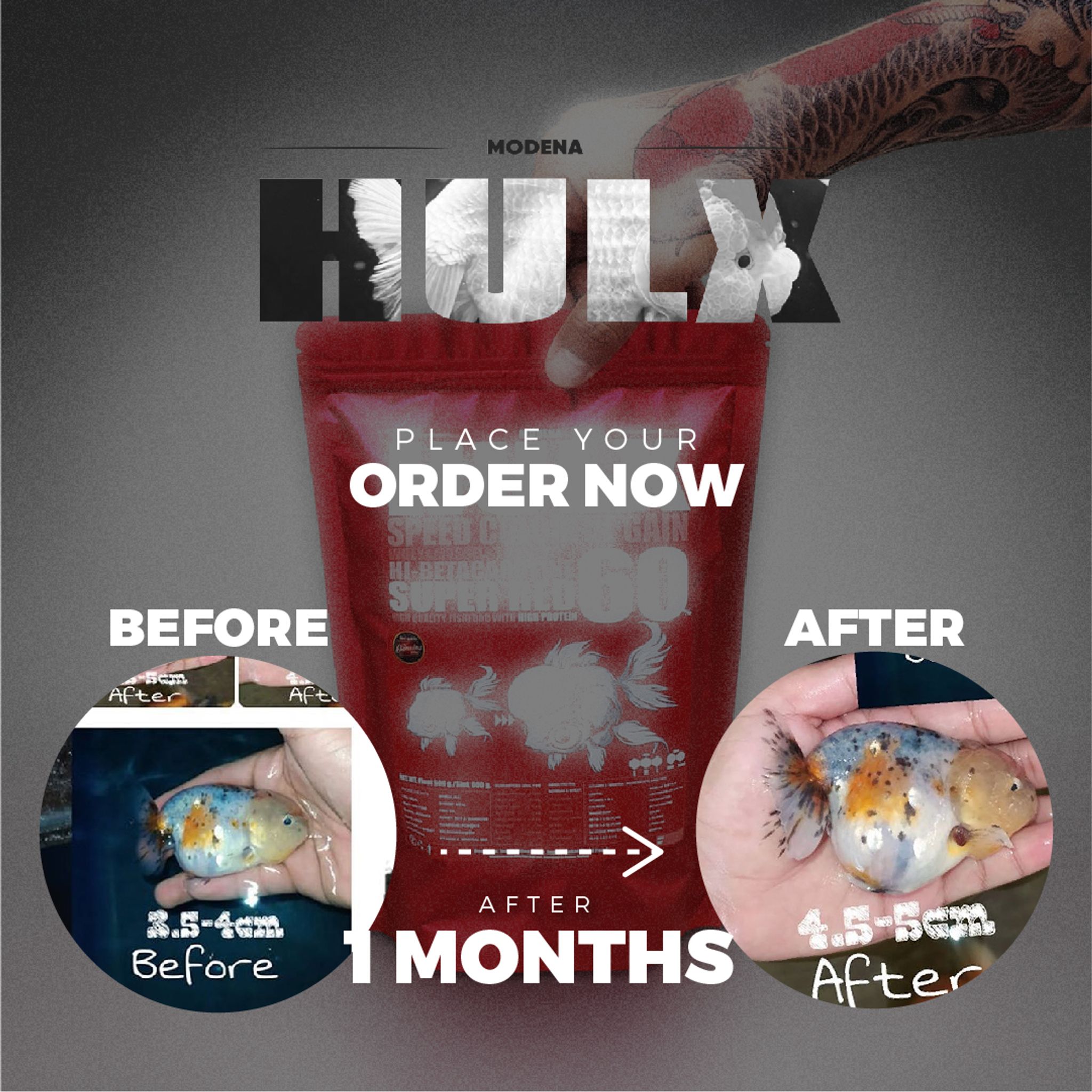HULX RED Goldfish Food For Huge & Colorful Gain, Mussel & Whey & Vitamin Mix Super Red 60 + Astaxanthin 6%