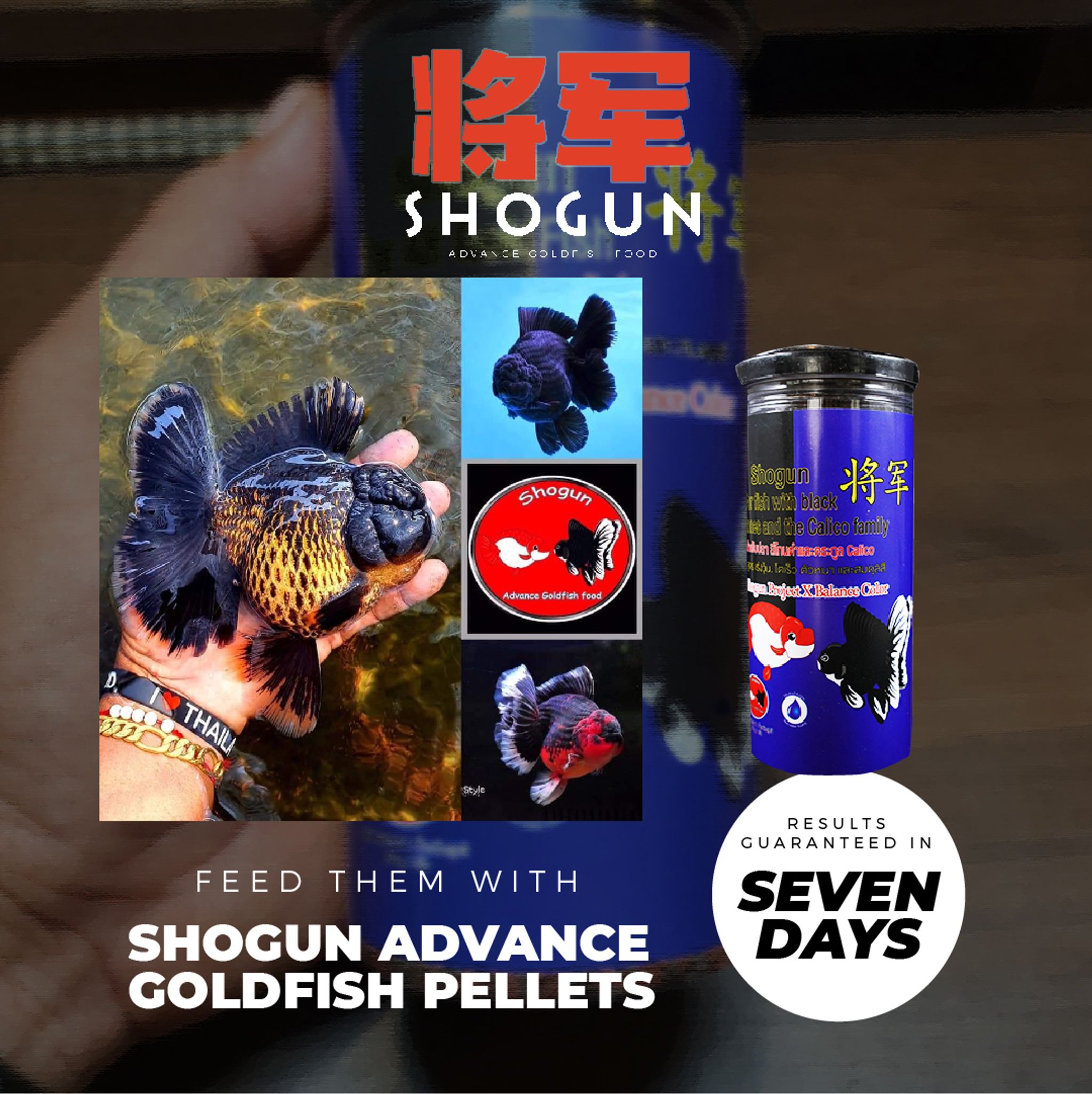 SHOGUN Advanced Gold Fish Pallet Sinking Blue Bottle Balance Color Formula 270 grams SS Pellet Size