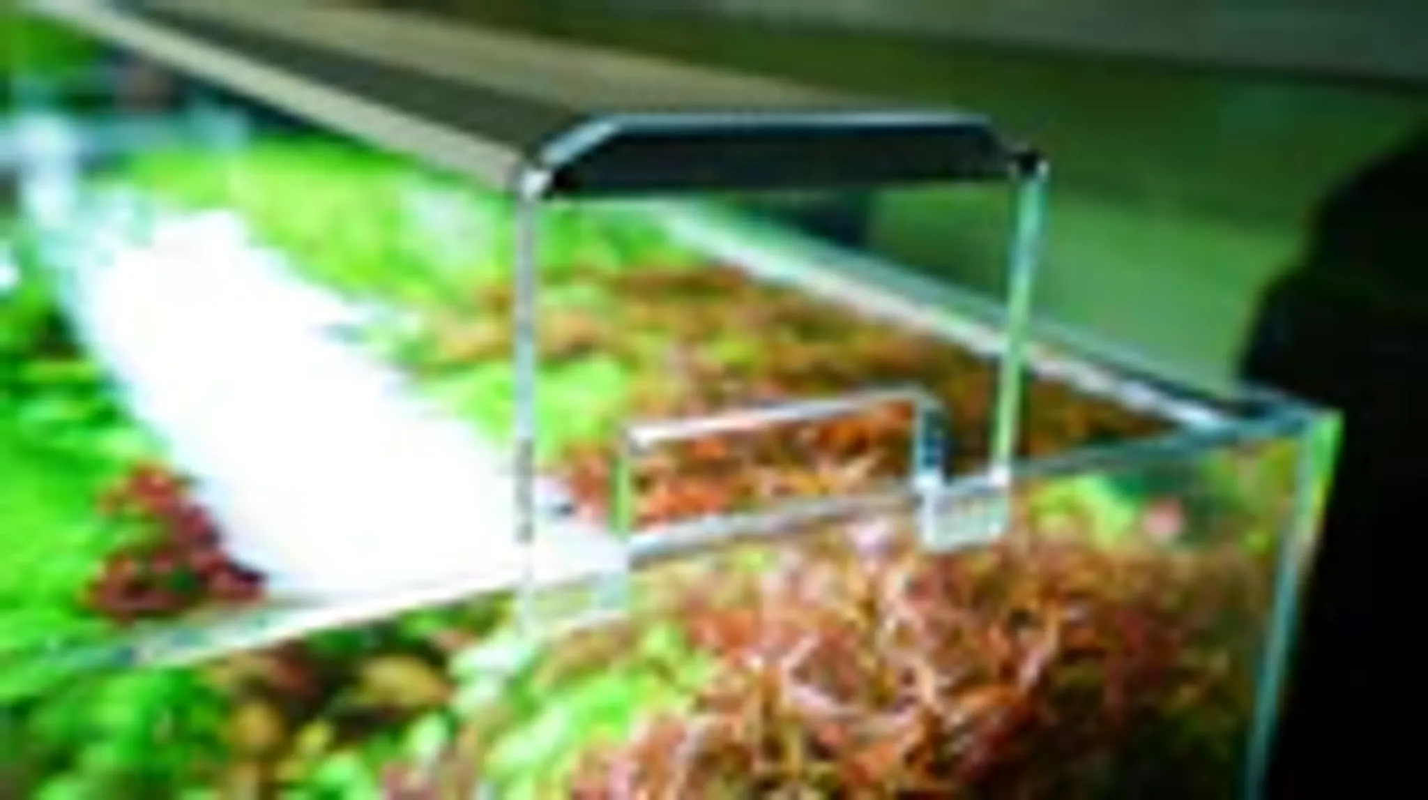 Chihiros RGB APLUS / WRGBII Acrylic Stand