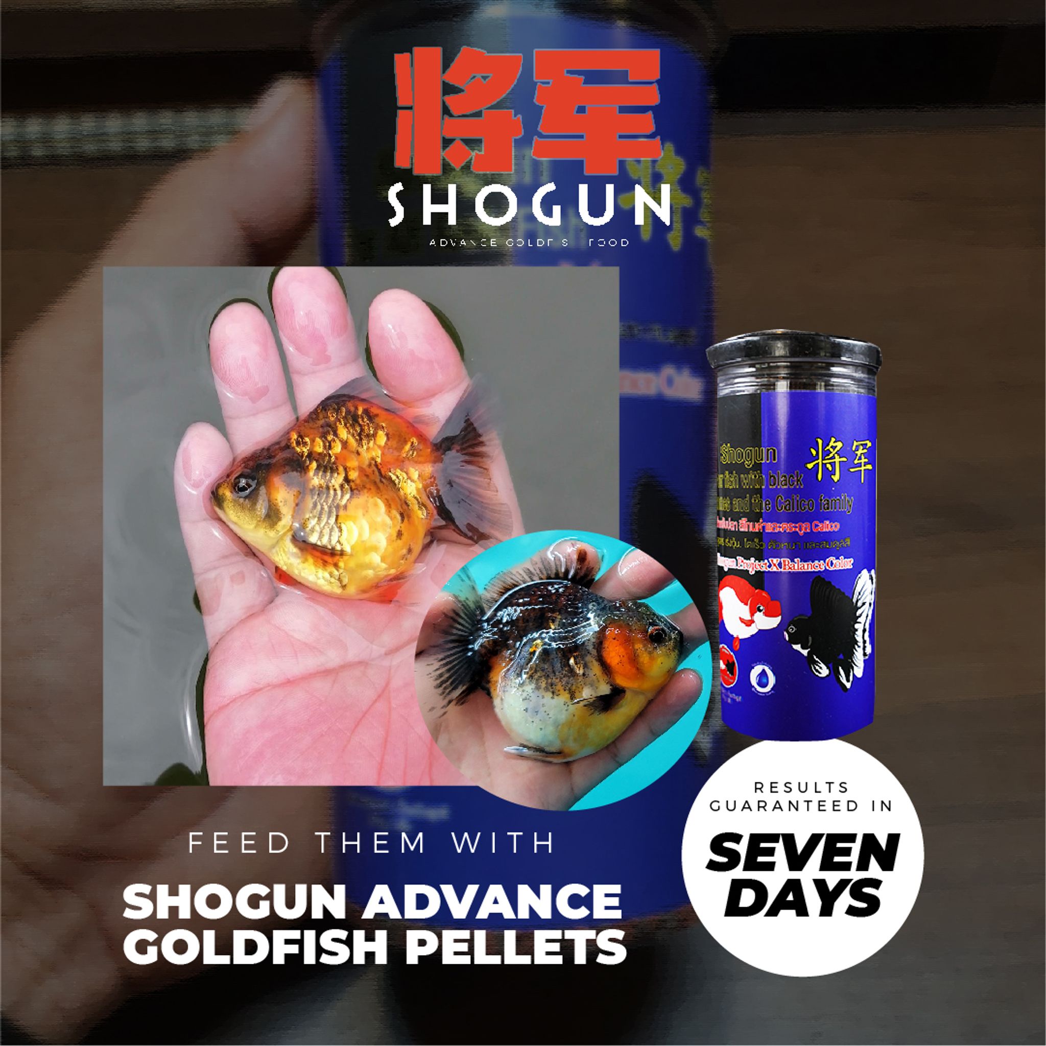 SHOGUN Advanced Gold Fish Pallet Sinking Blue Bottle Balance Color Formula 270 grams SS Pellet Size