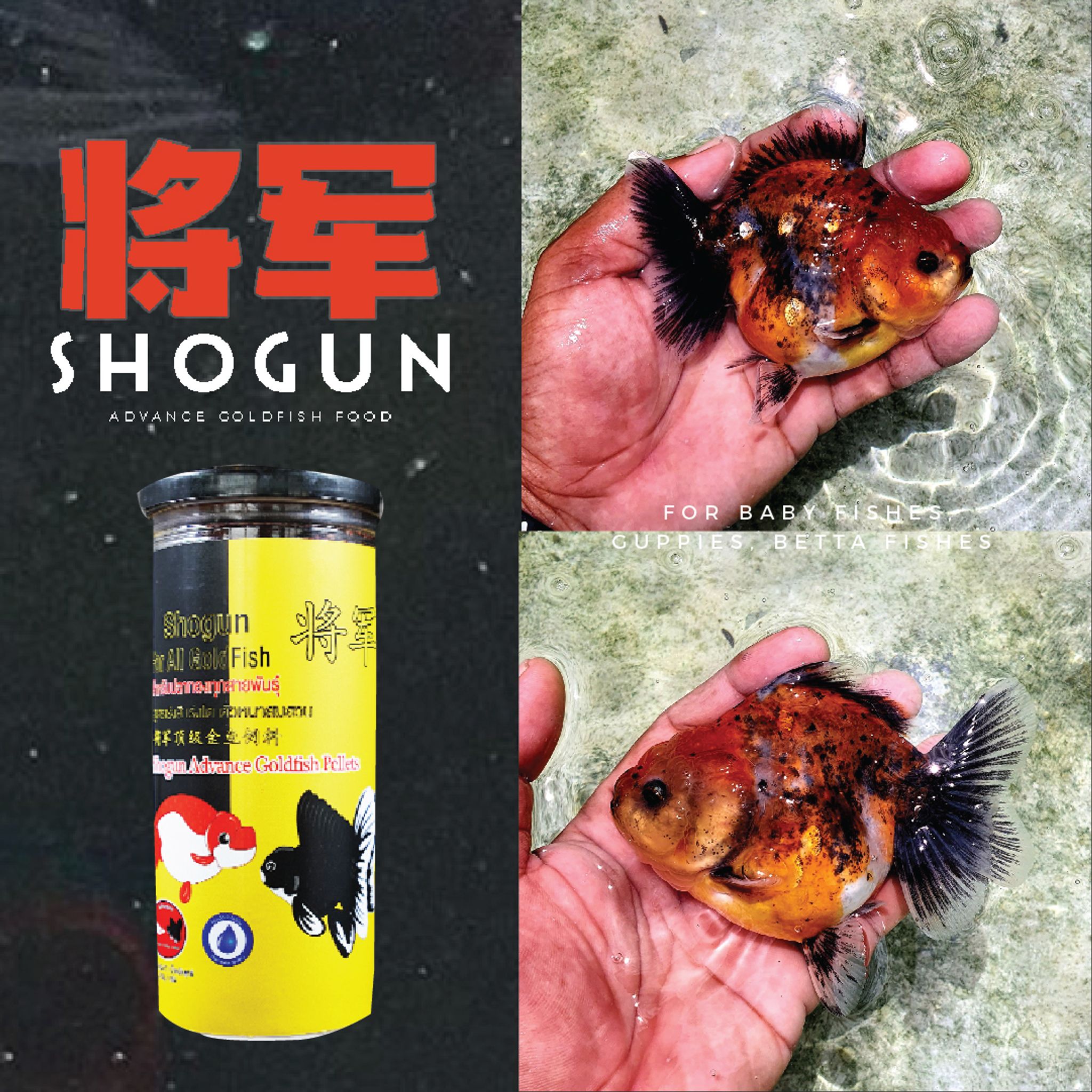 SHOGUN Advance Goldfish Pellets Sinking Yellow Bottle Rush-To-Growth Formula 270g SSS Pellet Size