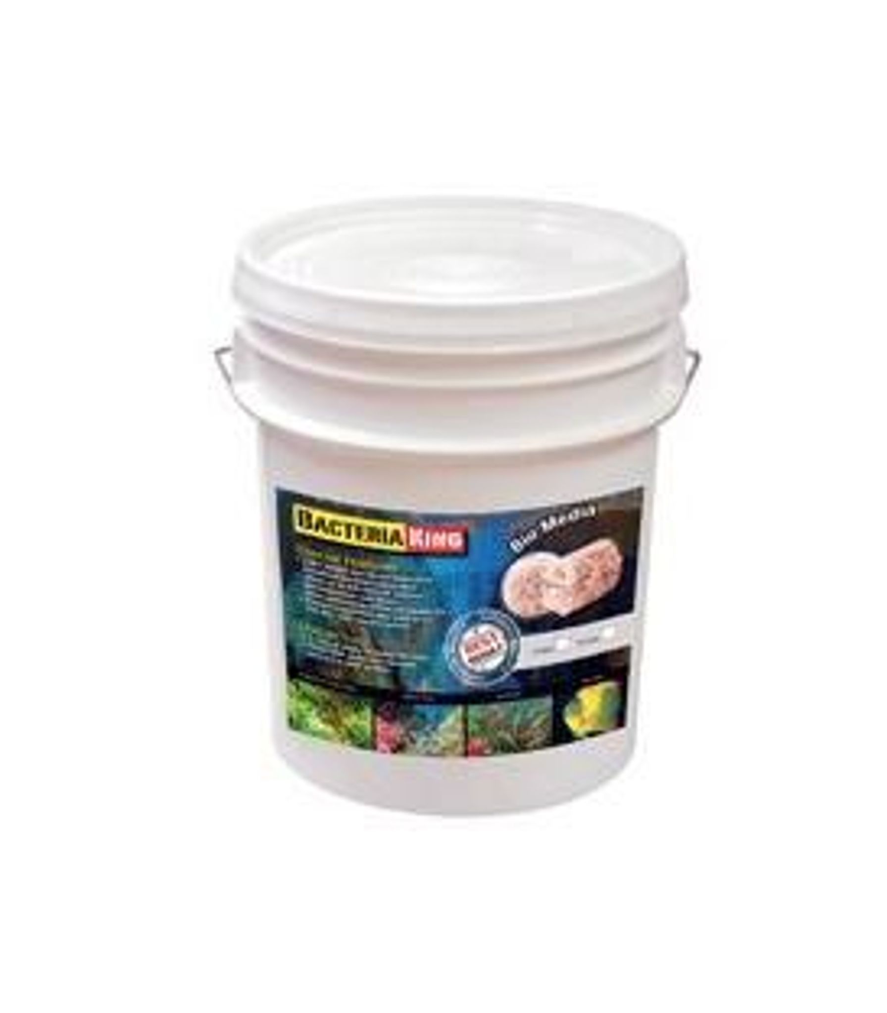 BACTERIA KING 10LITRES