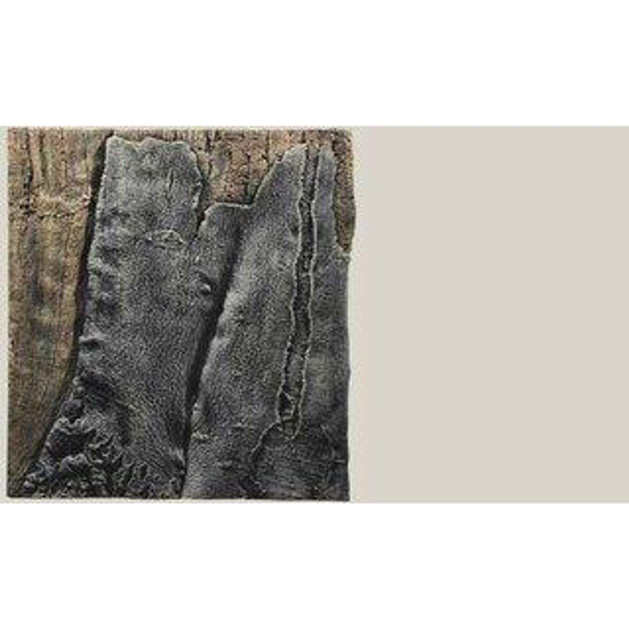 BACK TO NATURE SLIM LINE BACKGROUND AMAZONAS(60B L: 50 X H: 55 