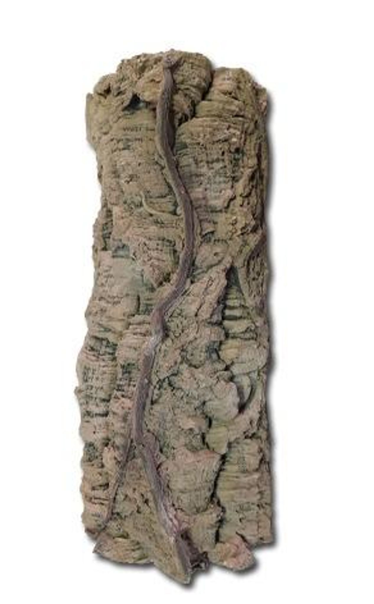 BACK TO NATURE LIANA TREE TRUNK SEMI CIRCLE(B 55X20CM)