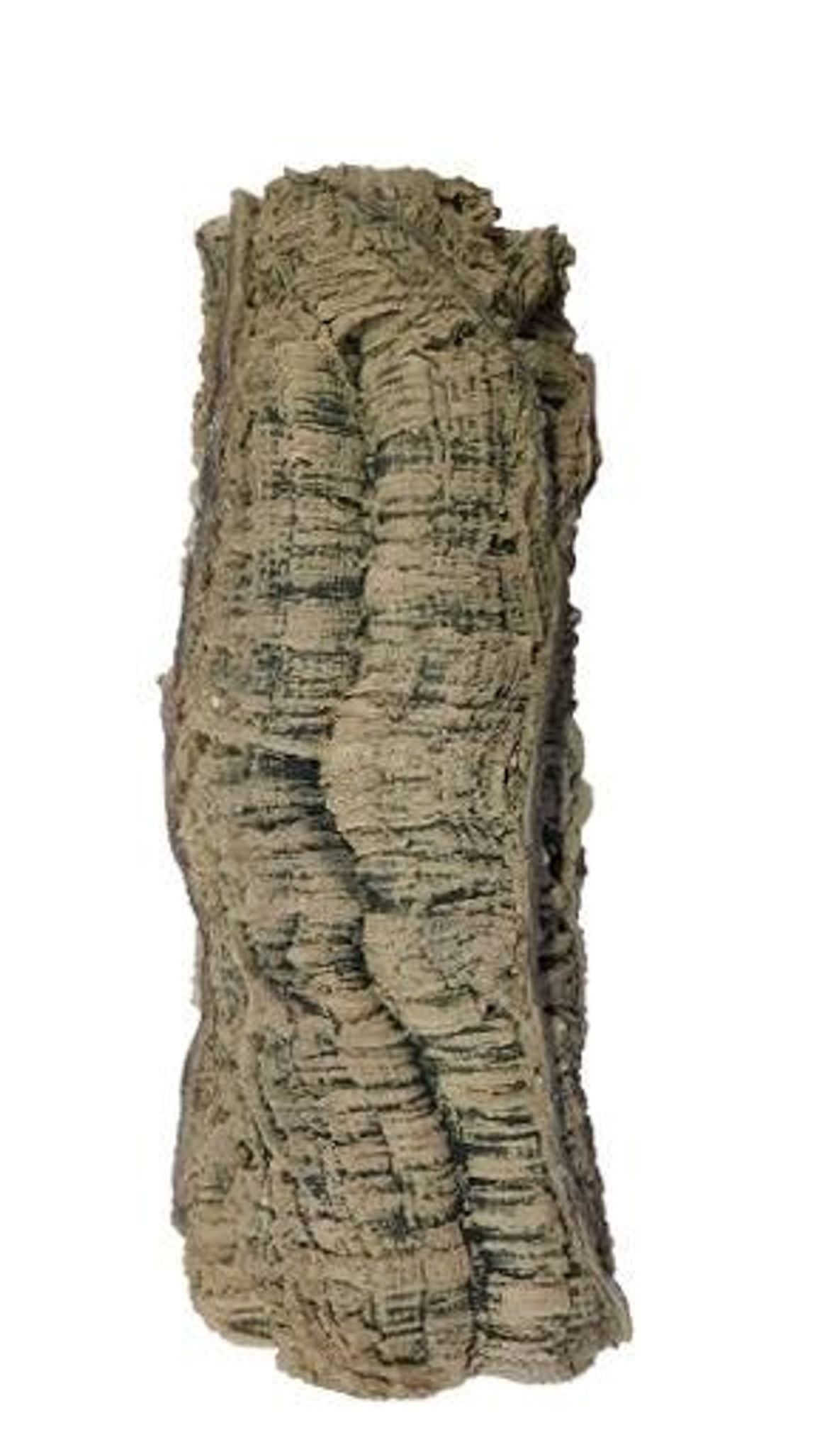 BACK TO NATURE LIANA TREE TRUNK SEMI CIRCLE(A 80X20CM)