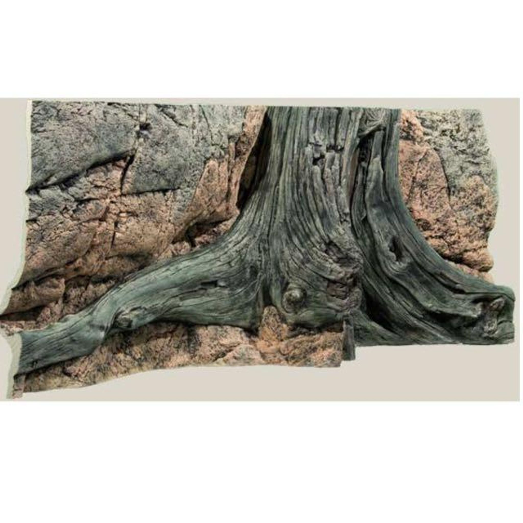 BACK TO NATURE AMAZONAS 3D MODULES(B 42X73X14CM)