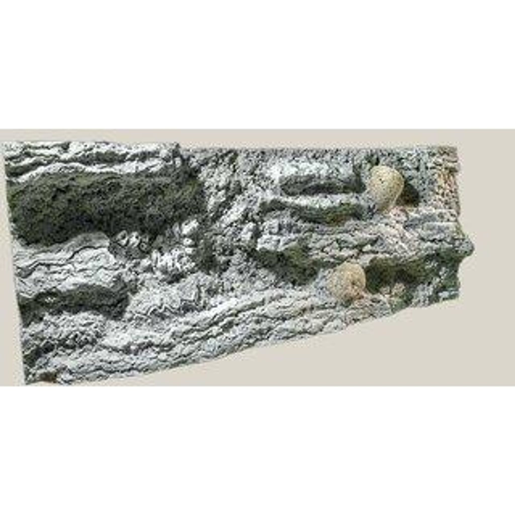 BACK TO NATURE 3D BACKGROUND REEF(L: 100 X H: 50 CM)