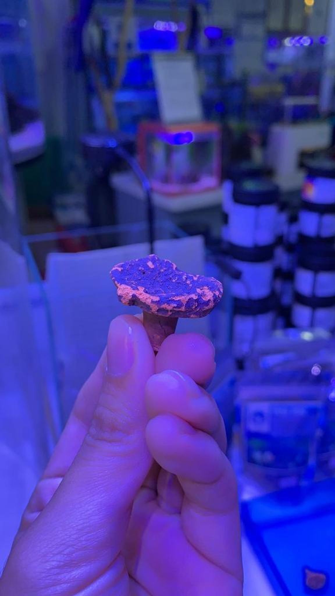 FRAG DISC ASFD-T/L