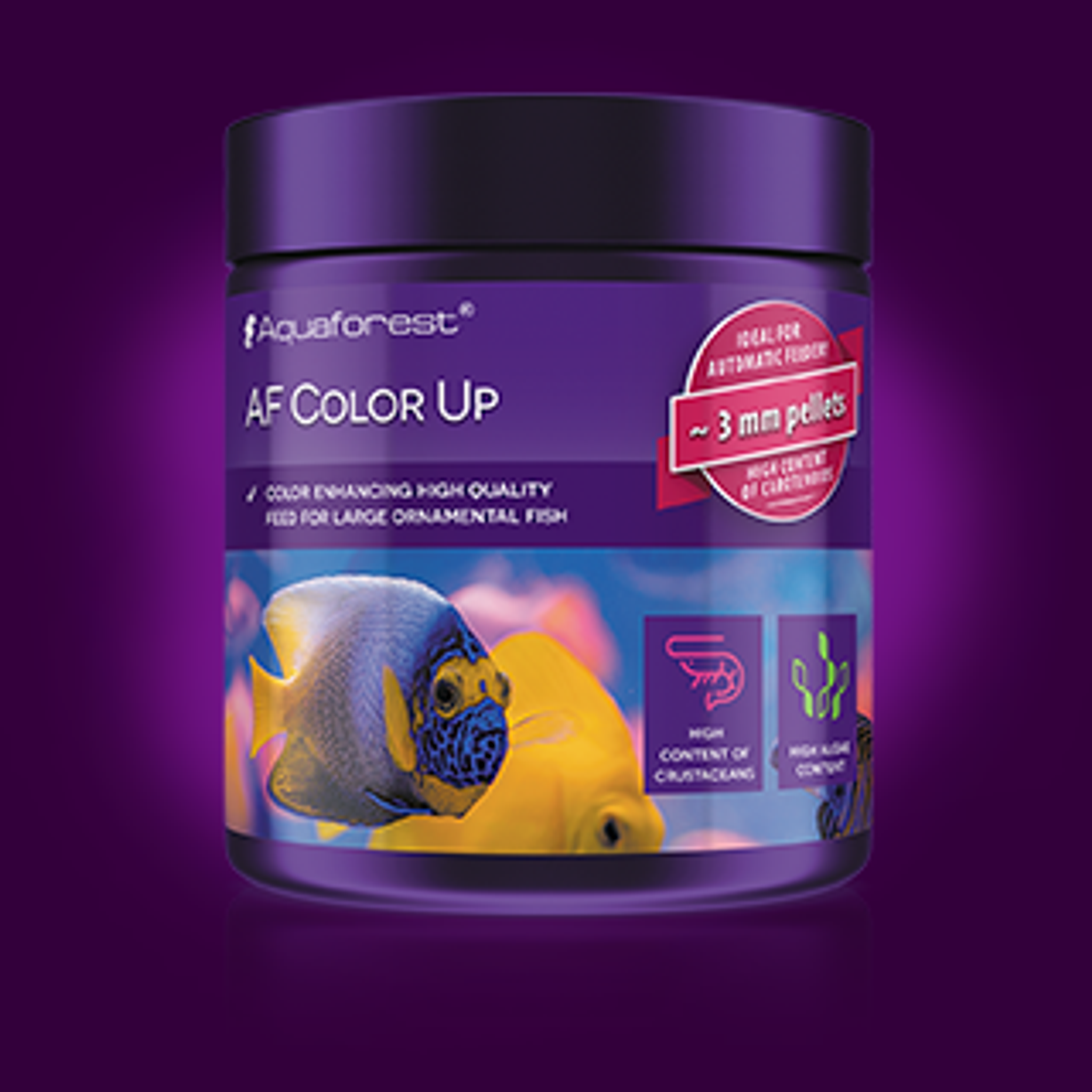 AQUAFOREST COLOR UP 120G