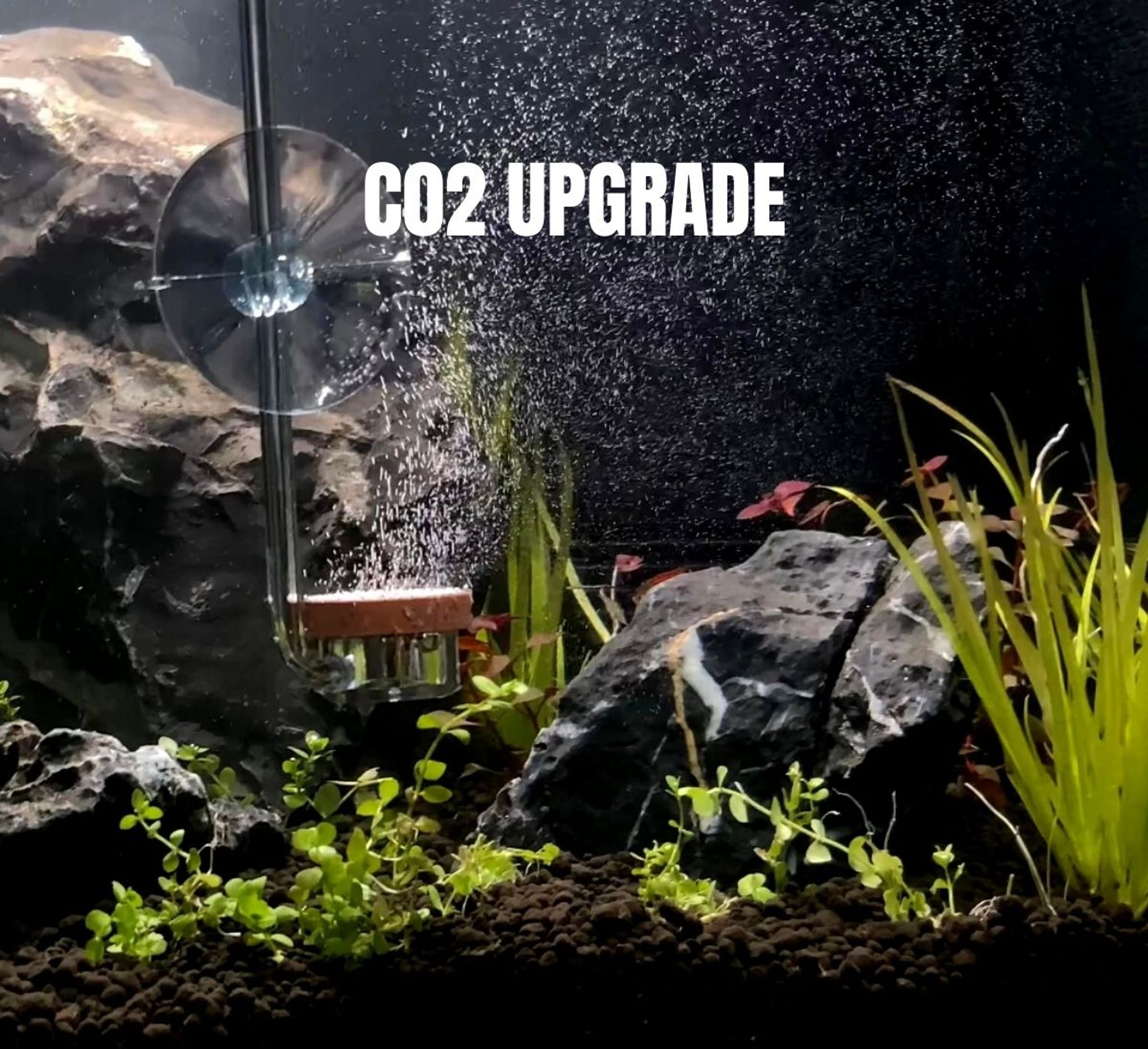 CO2 System Upgrade