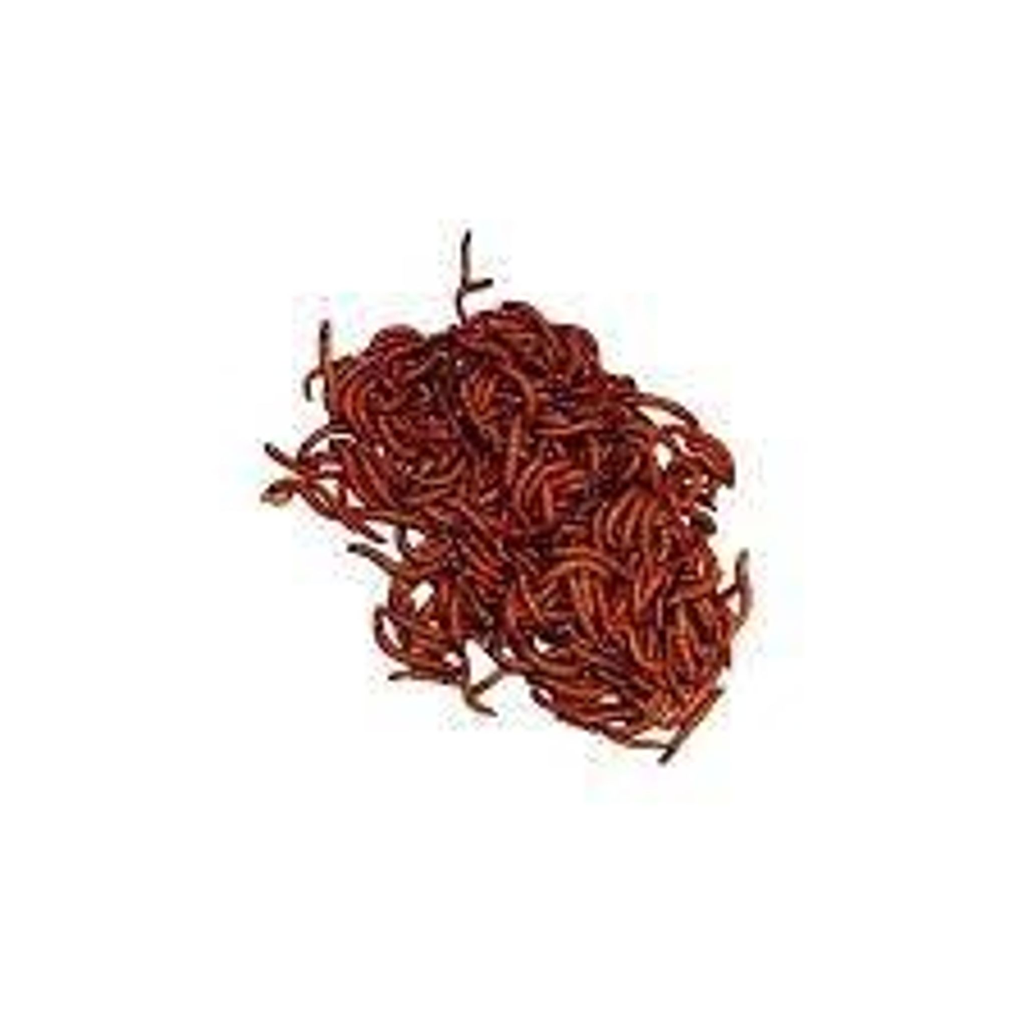 Beta-Carotene Mealworm Live Feeder