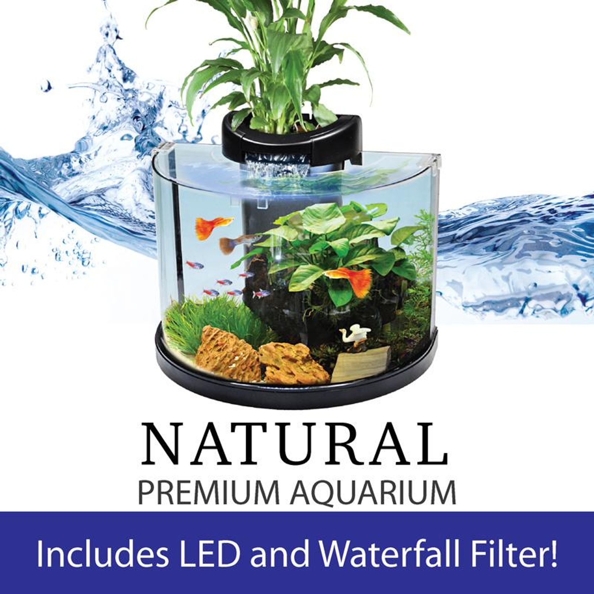 [Aquasyncro] 12L Clearmoon Tabletop Hydroponic Natural Premium
