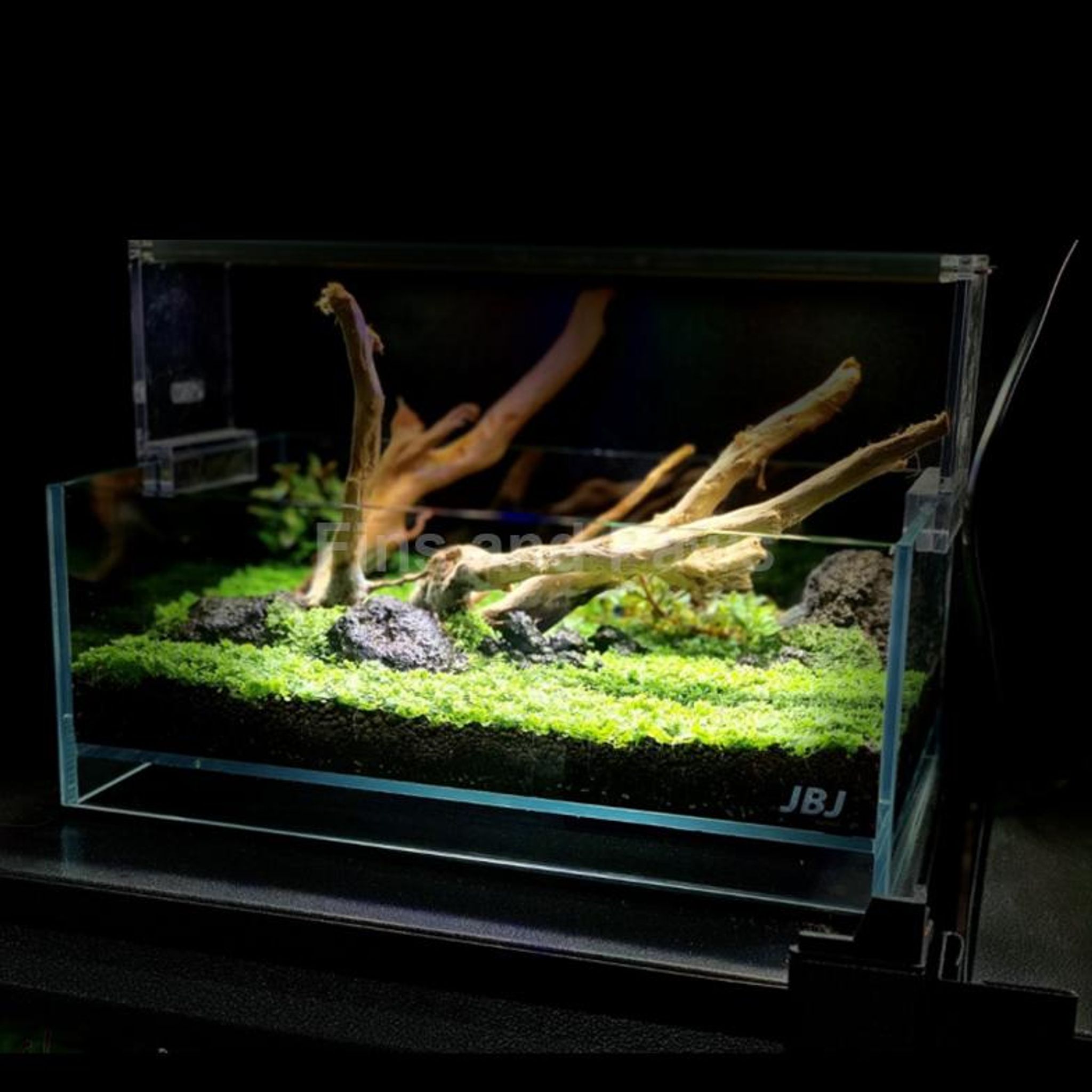 [JBJ] Flojta Floating Ultra Clear Glass Tank