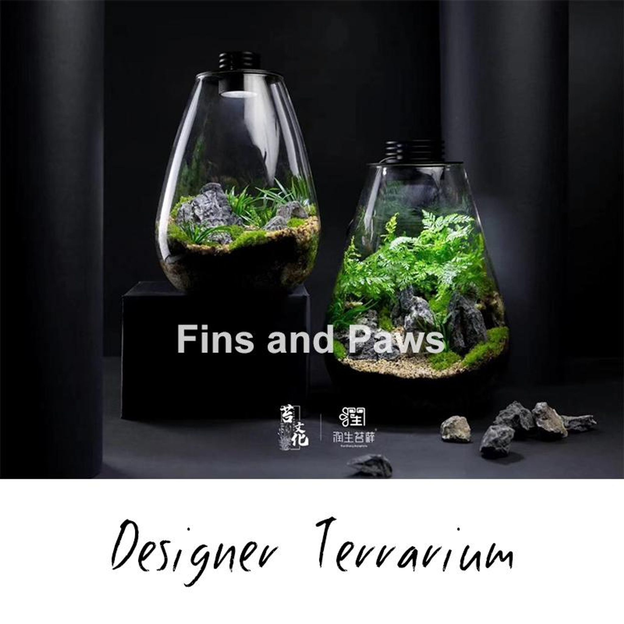 [Terra] Terrarium complete with LED Light