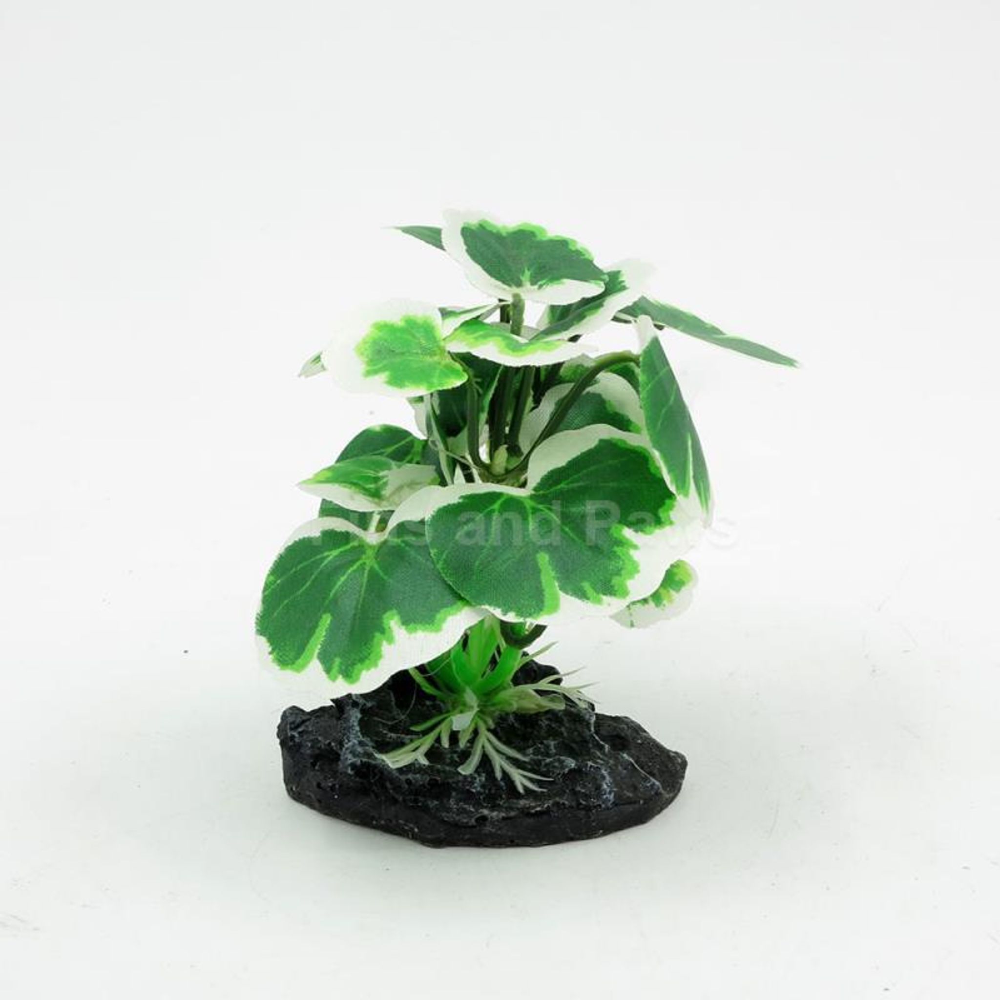 [Acquanova] Leafy Green Aquarium Plastic Plants (9x6x10cm)