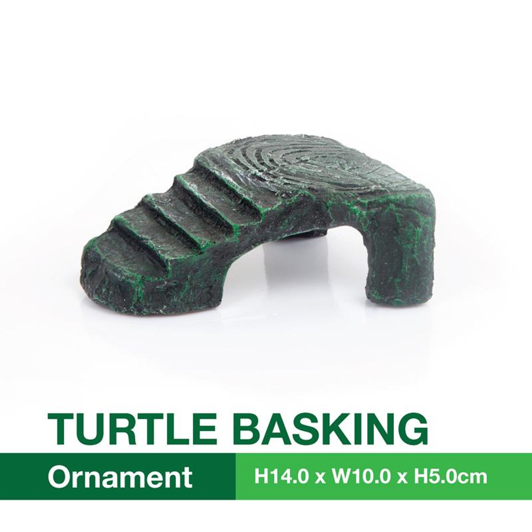 [Acquanova] Small Turtle Terrapins and Tortoise Aquarium Climbi