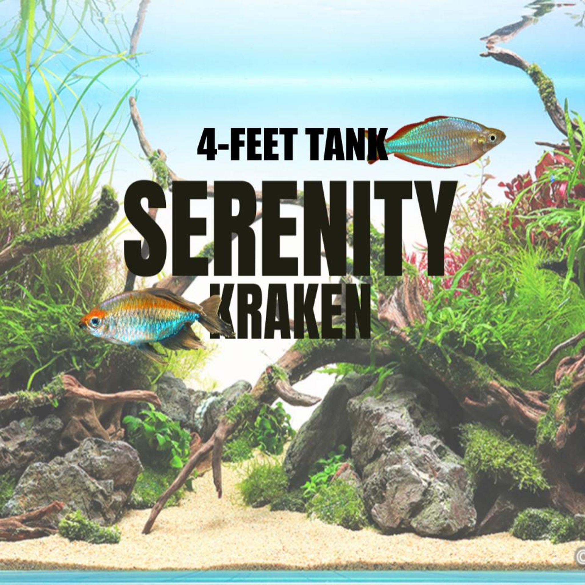 Adventure Pack - Serenity 4 Feet Set