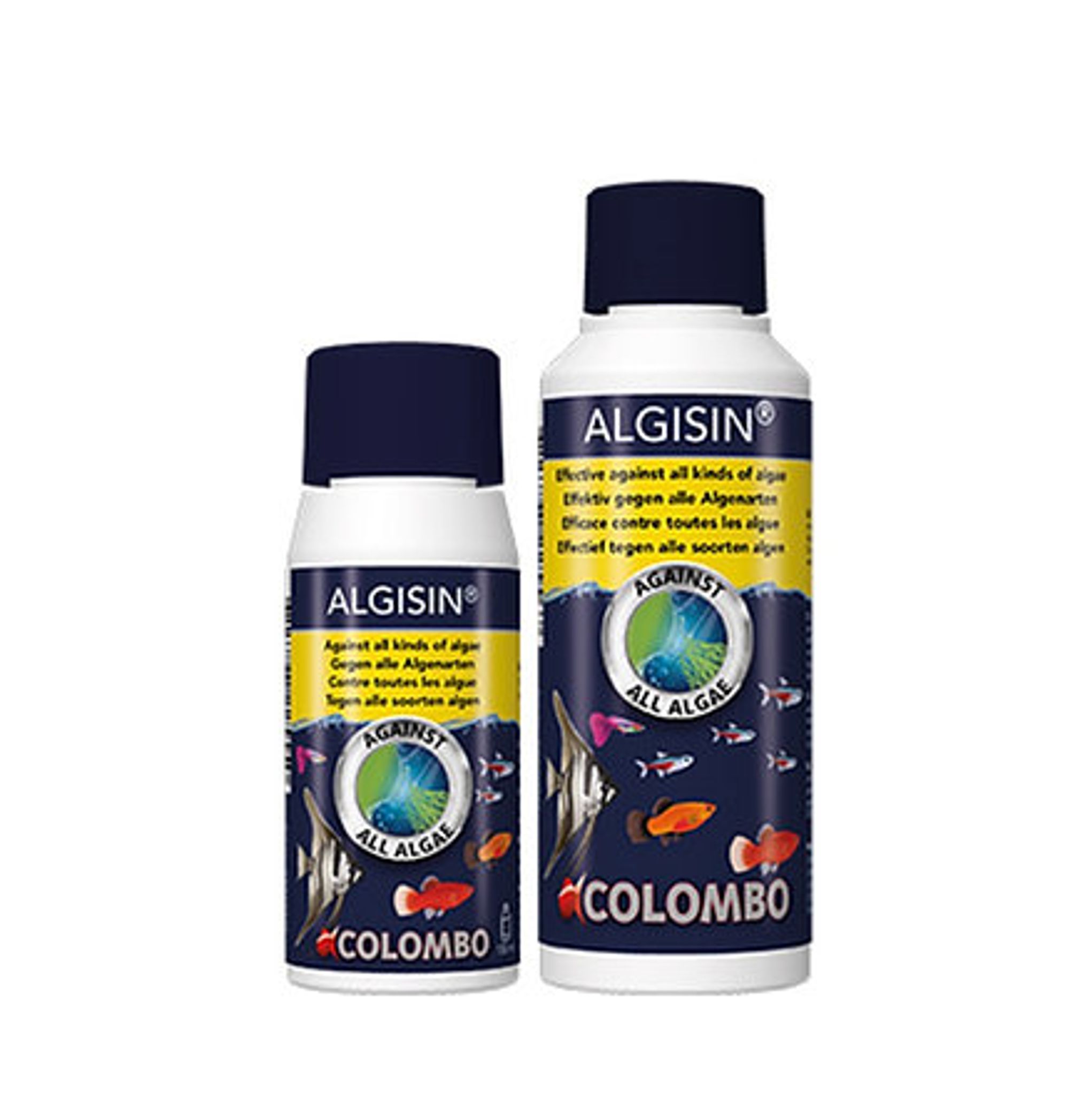 Colombo ALGISIN
