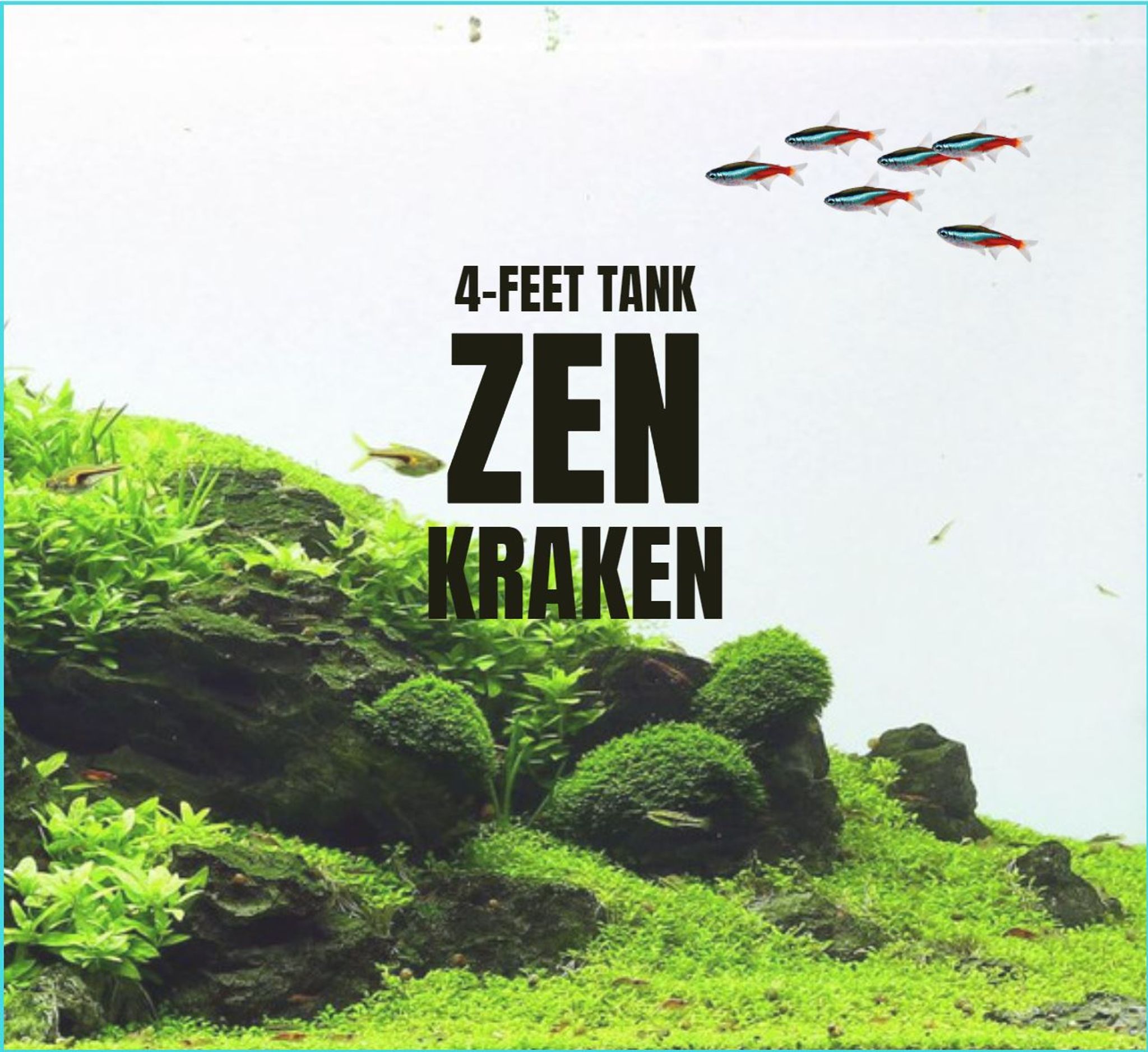 Adventure Pack - Zen/Jungle 4-Feet Set