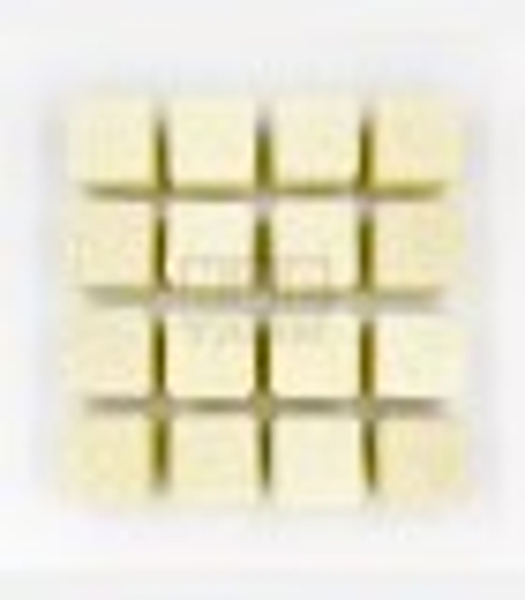 N30 PREMIUM BIO CUBE 16PCS (N0036)