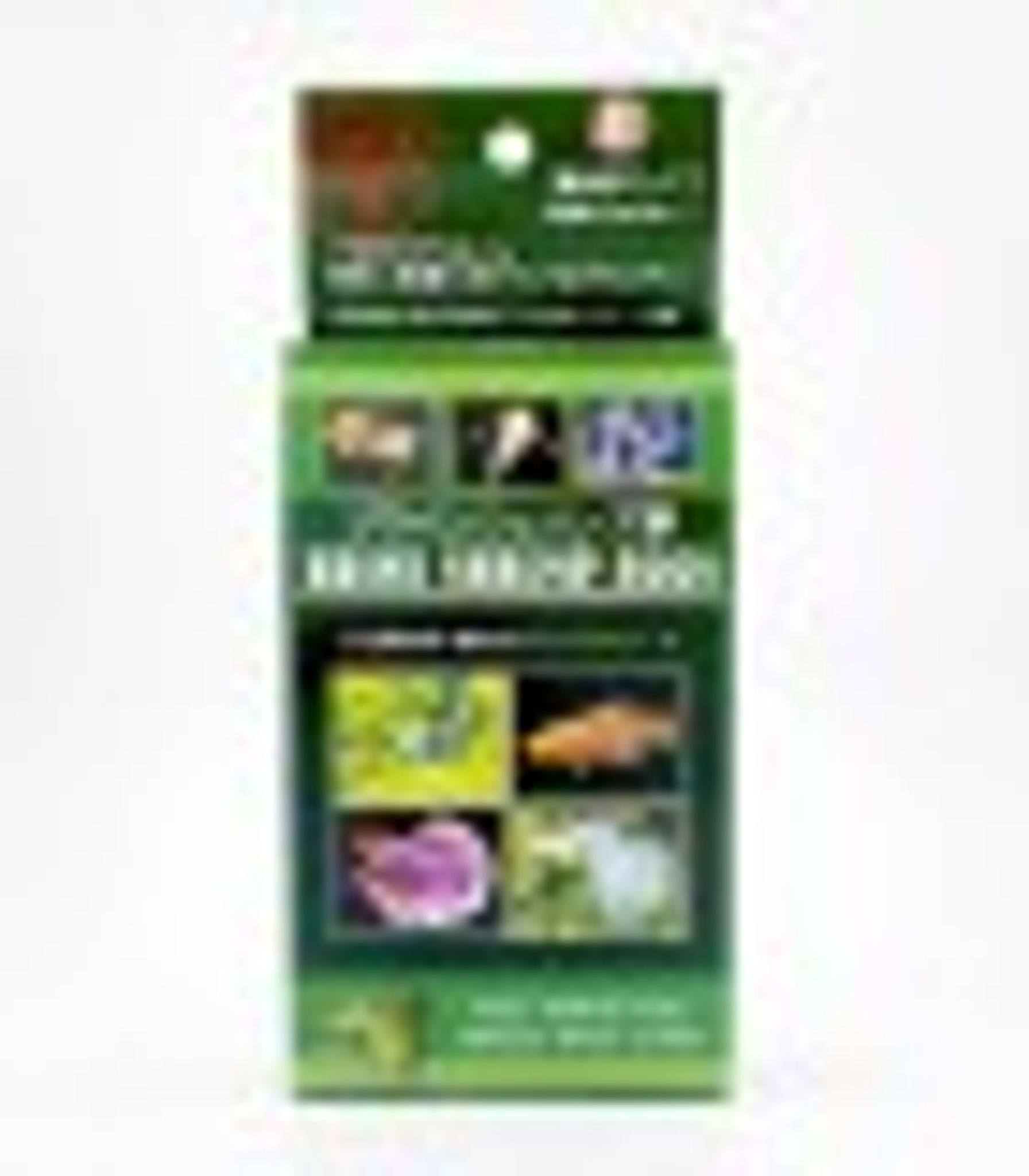 JPD Brine Shrimp Eggs 20g (JPD11849) Fish Food
