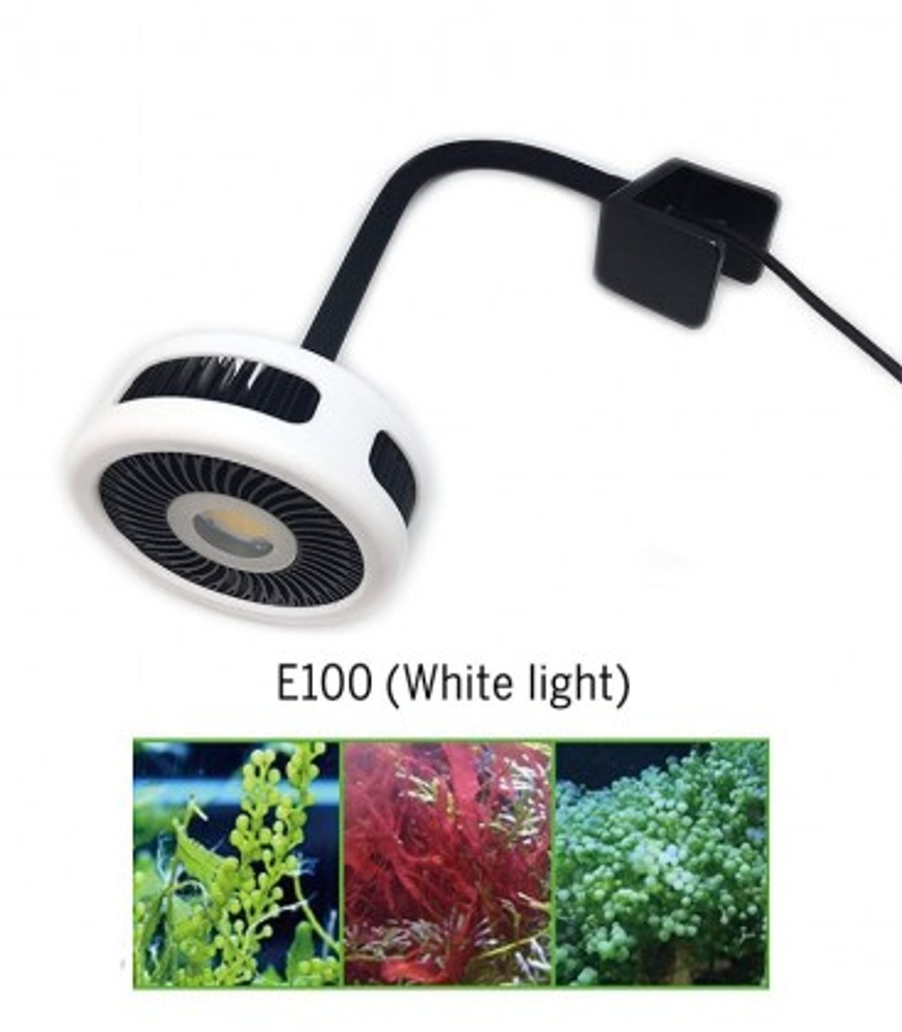 ZETLIGHT E100 ALGAE LED LIGHT WHITE