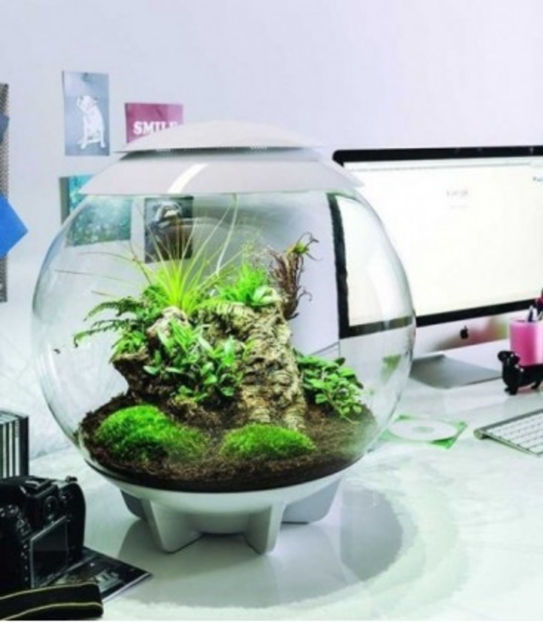 BIORB AIR 60 WHITE TERRARIUM