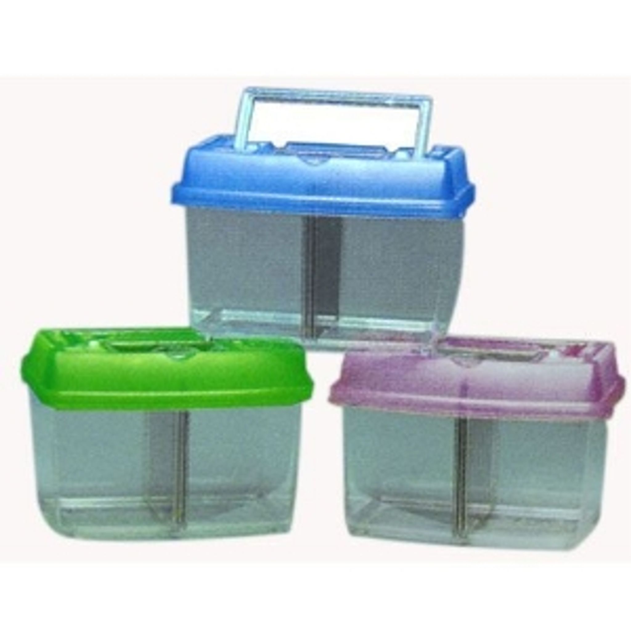 Azoo Show Betta Fish Box