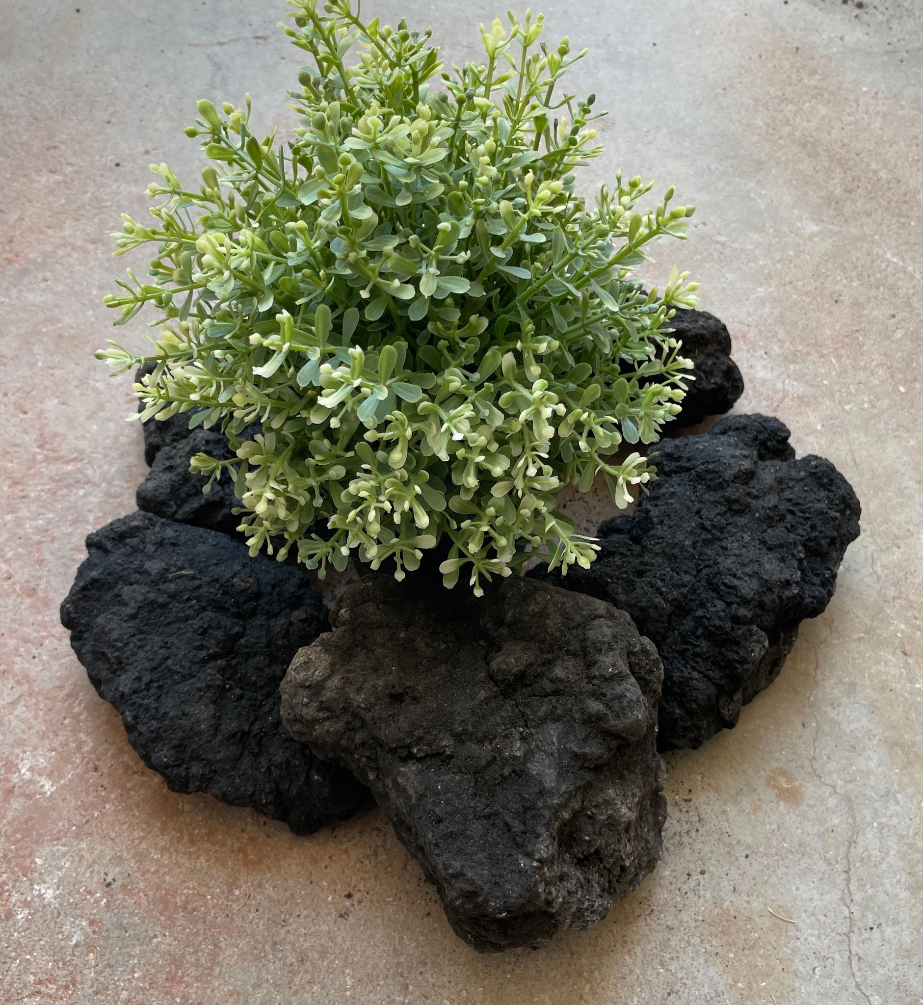 Black Lava Rock