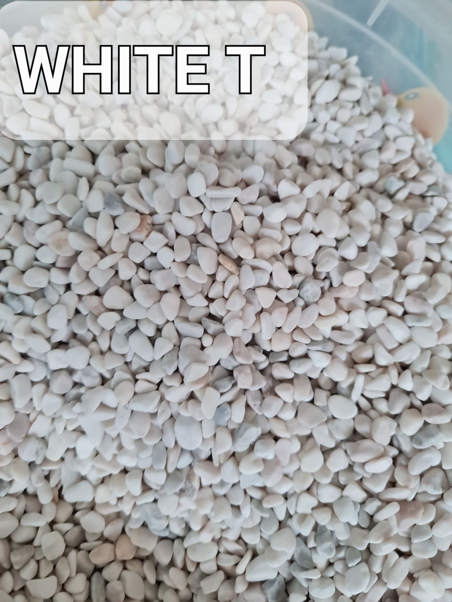 White T