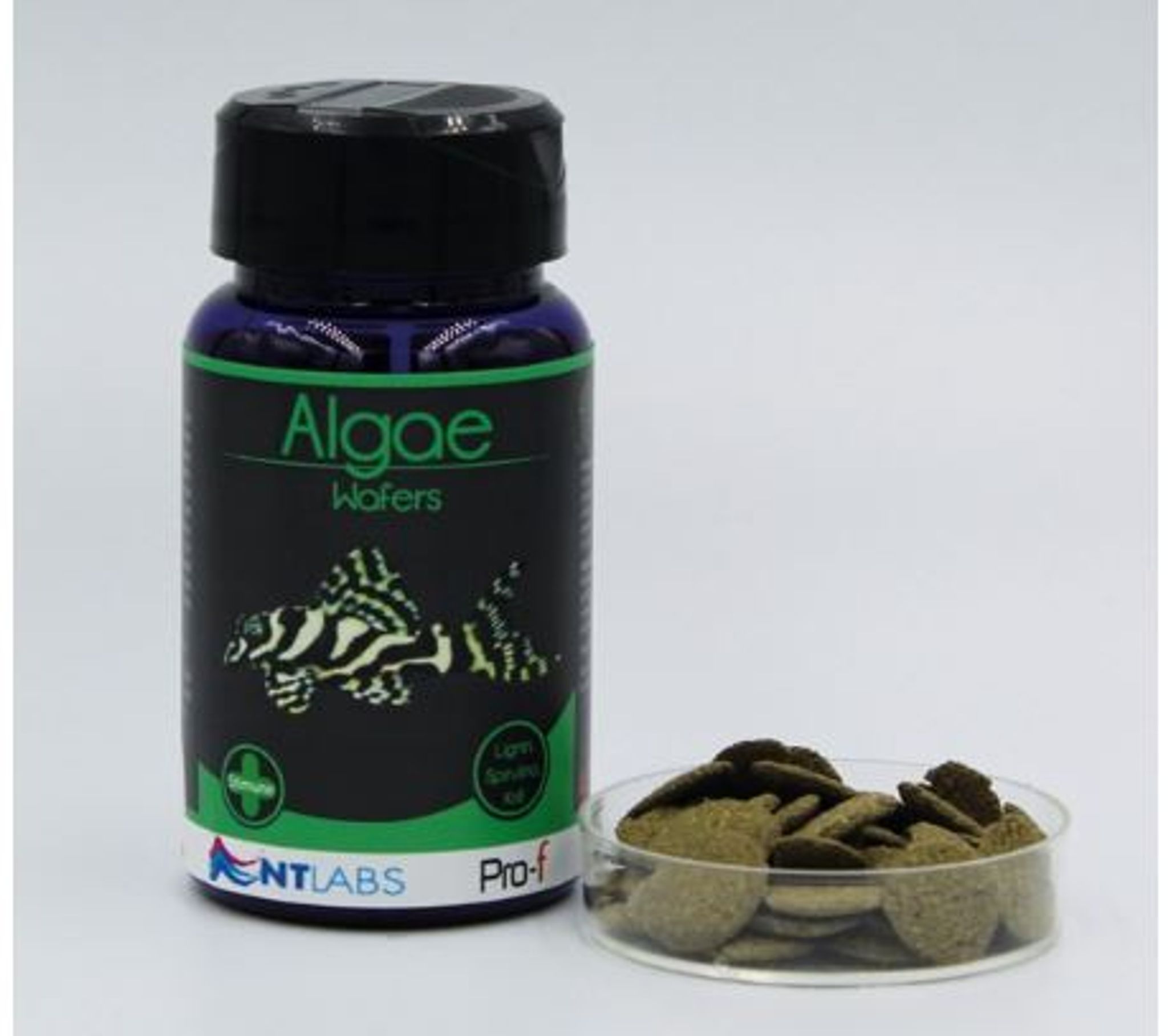 NT LABS Pro-f Algae Wafers