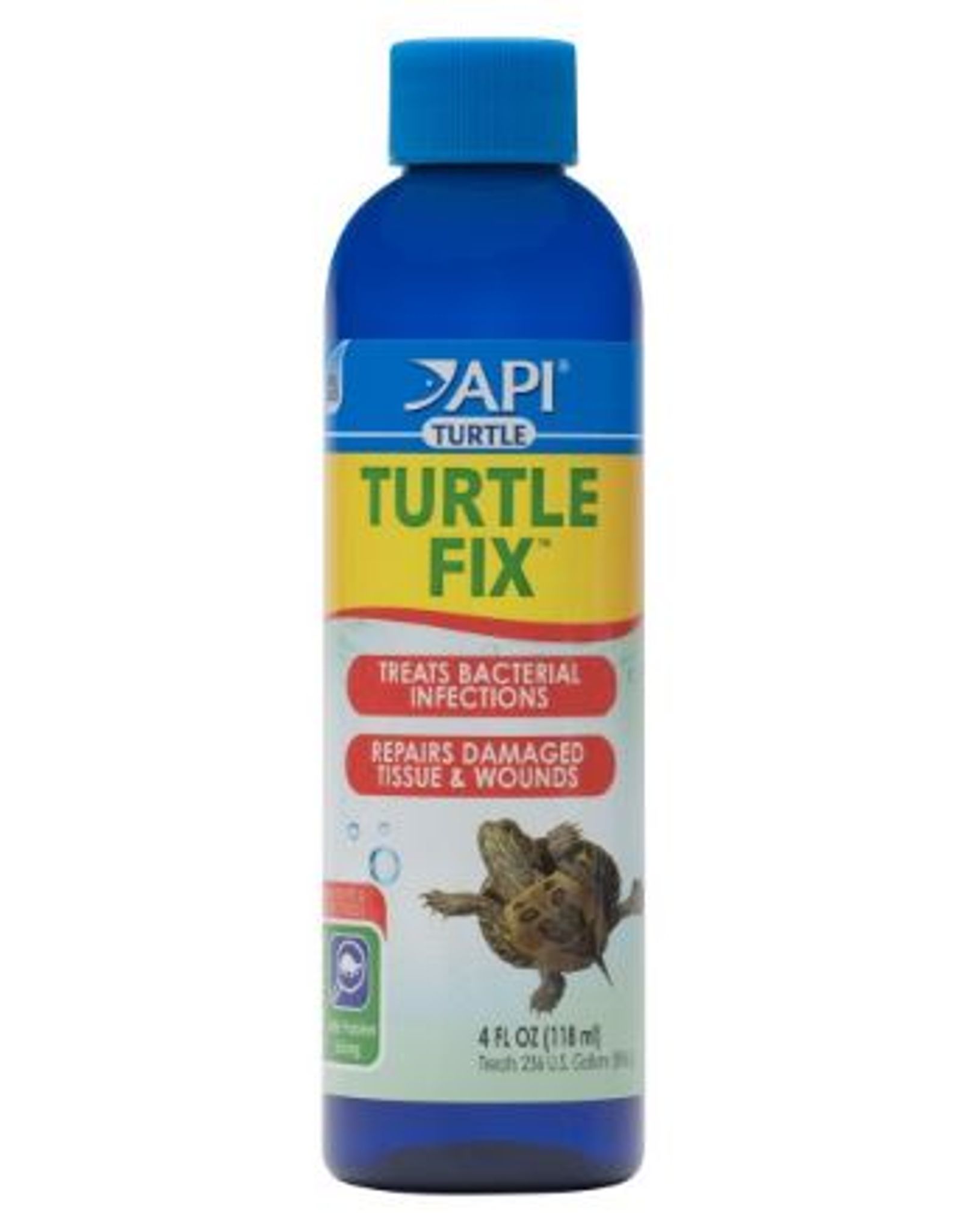 API Turtle Fix