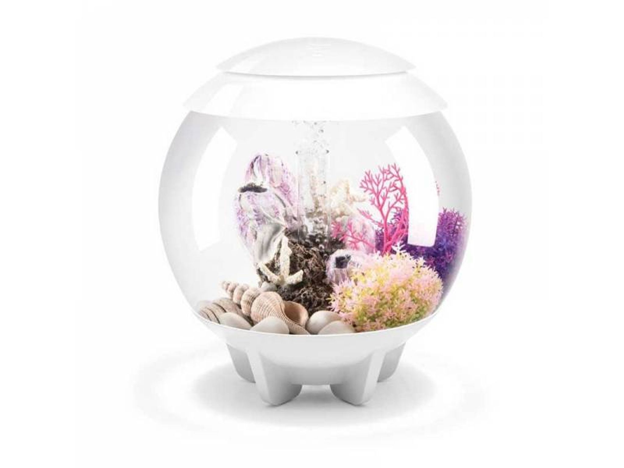 Biorb Halo 30 MCR White